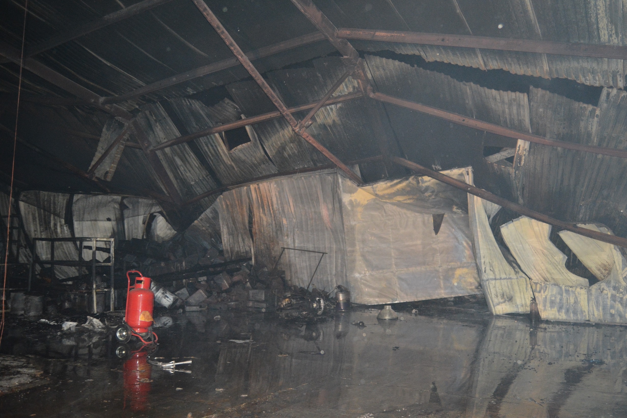 mat ngu vi chay anh 9