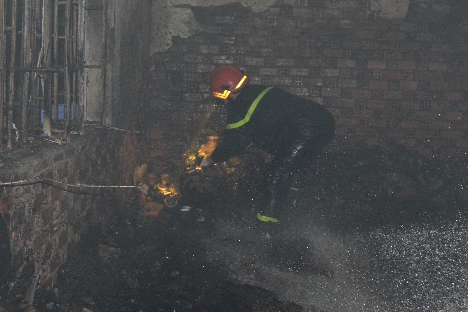 mat ngu vi chay anh 6