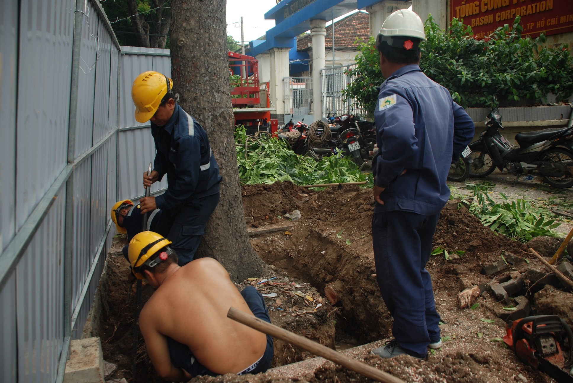 don ha cay xanh duong Ton Duc Thang anh 1