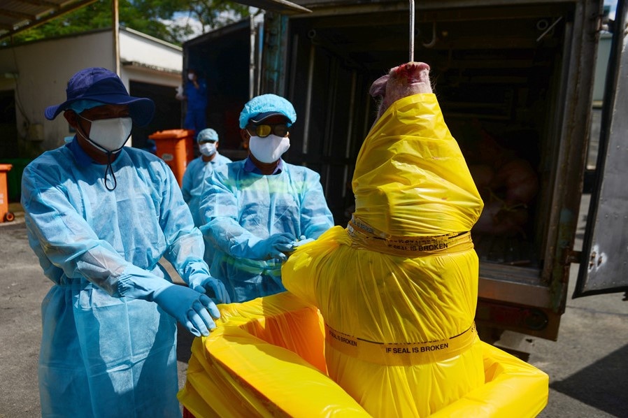 Tieu thuong to cao lo mo Xuyen A thao tung gia vi doc quyen hinh anh