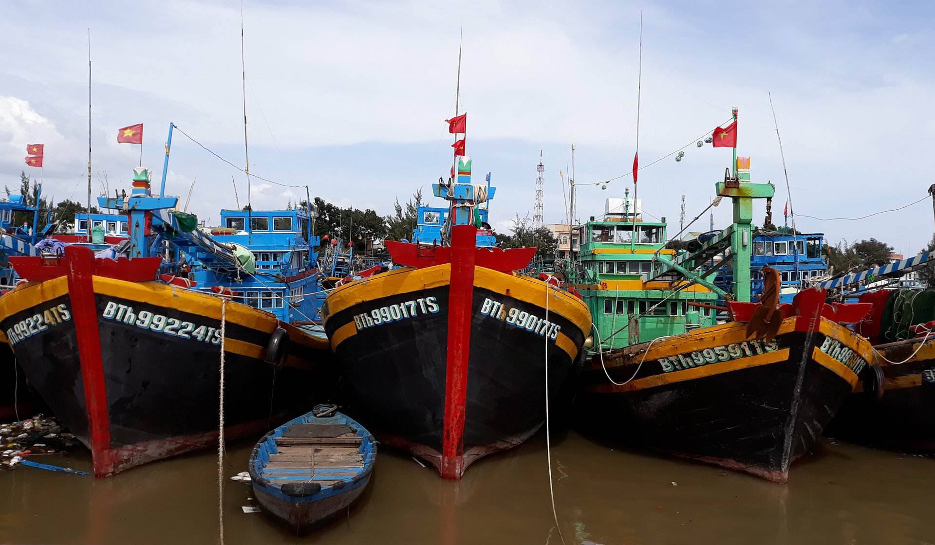Mien Nam cap tap ung pho bao so 12 hinh anh