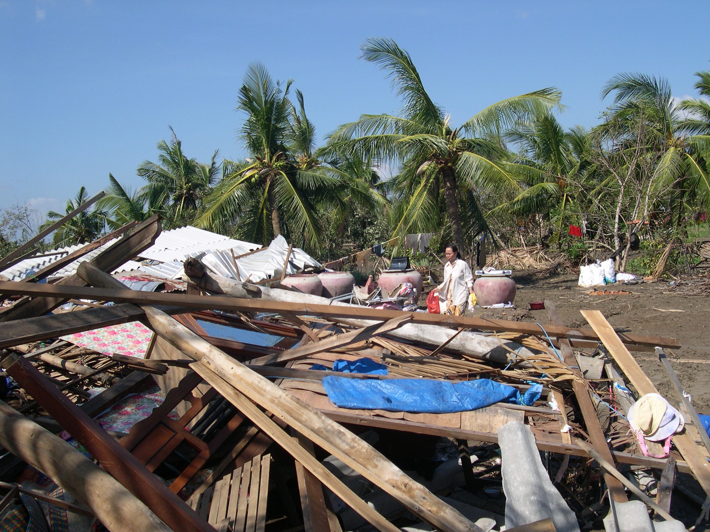 Bao Damrey con nhieu bat ngo anh 2