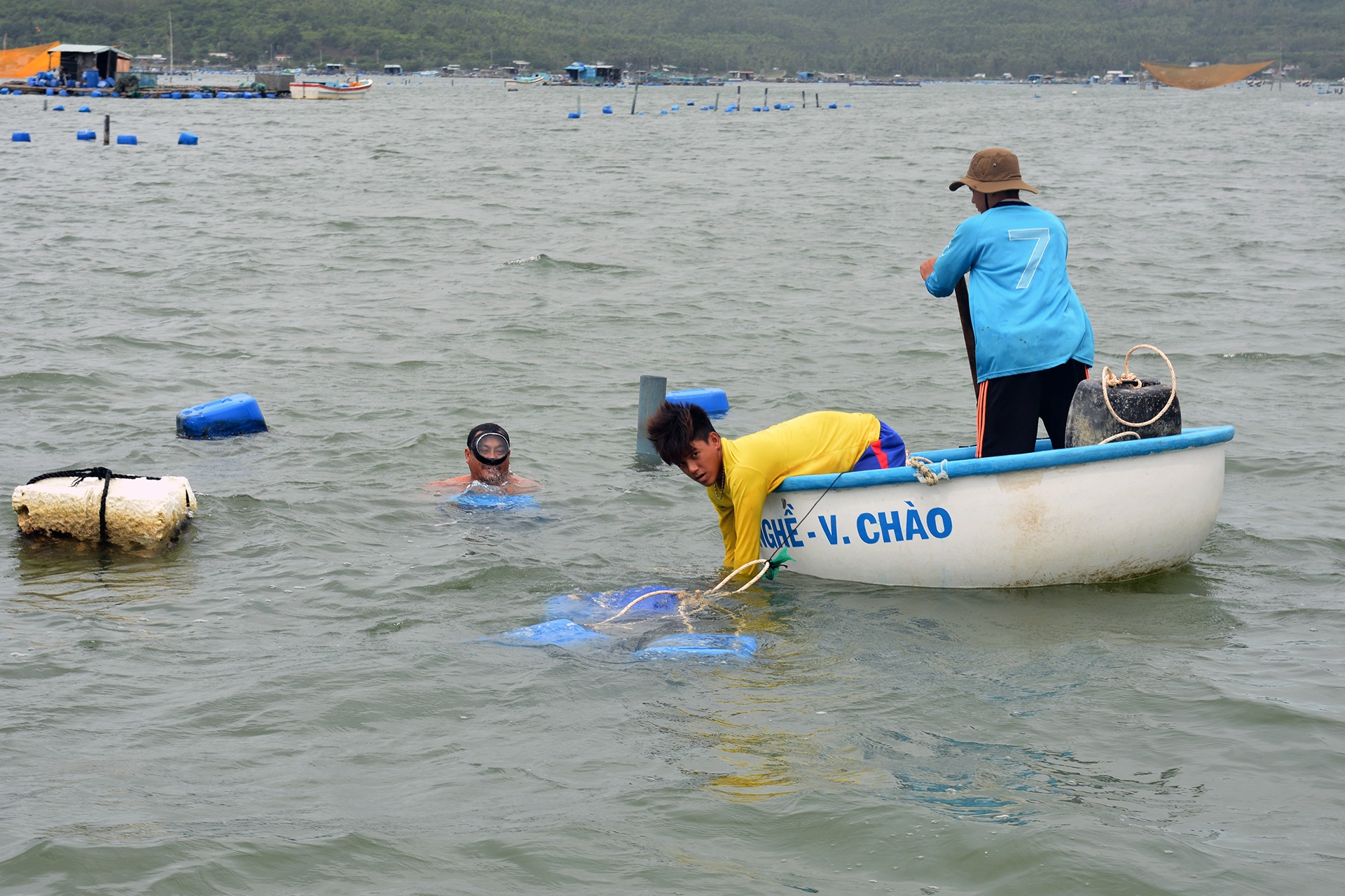 thu phu tom hum trang tay anh 8