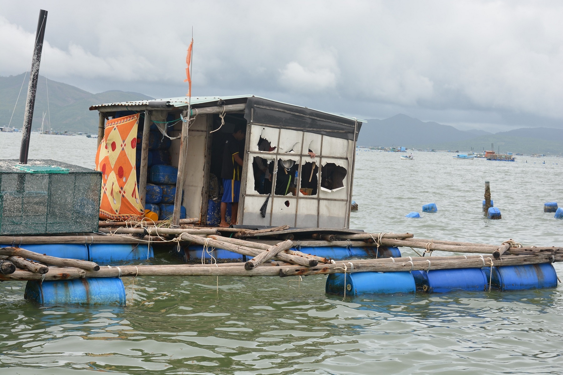 thu phu tom hum trang tay anh 11