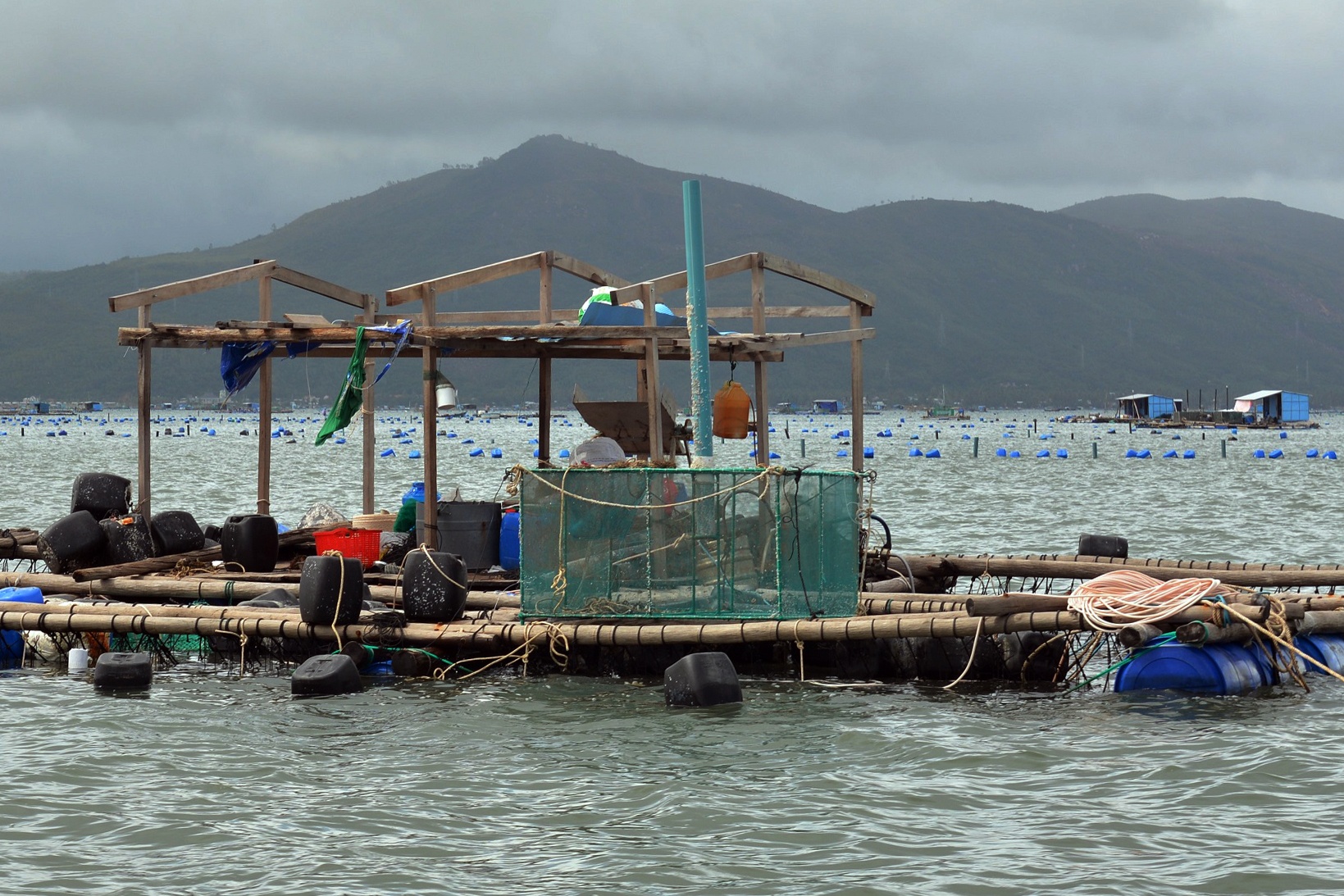 thu phu tom hum trang tay anh 10