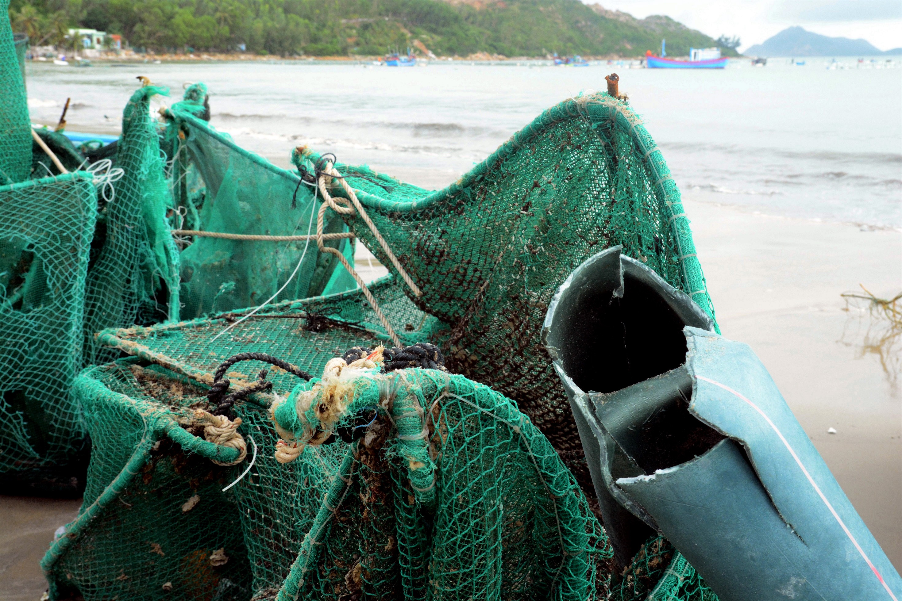 thu phu tom hum trang tay anh 2