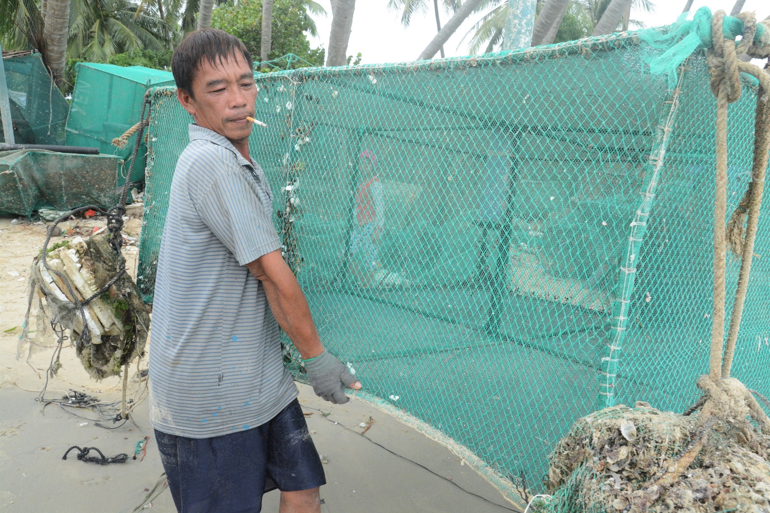 10.000 long nuoi tom hum bi bao danh tan nat hinh anh