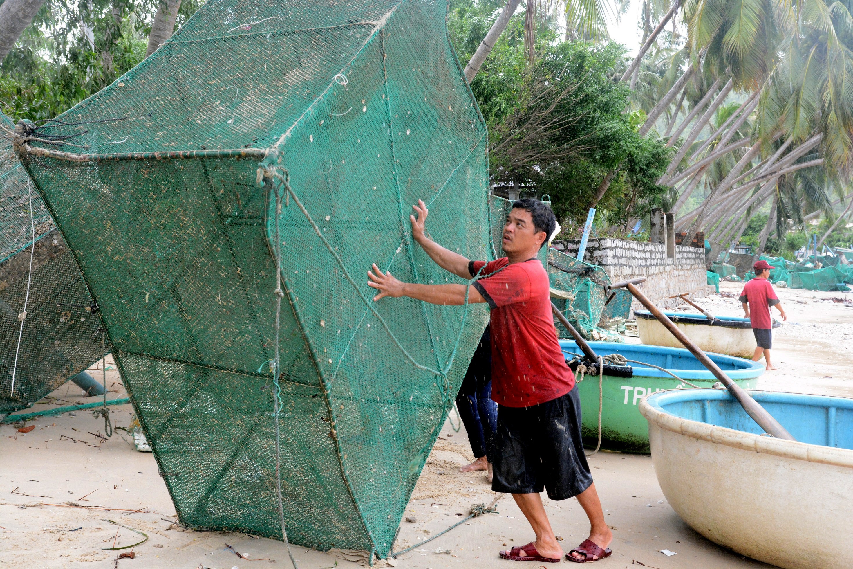 thu phu tom hum trang tay anh 4