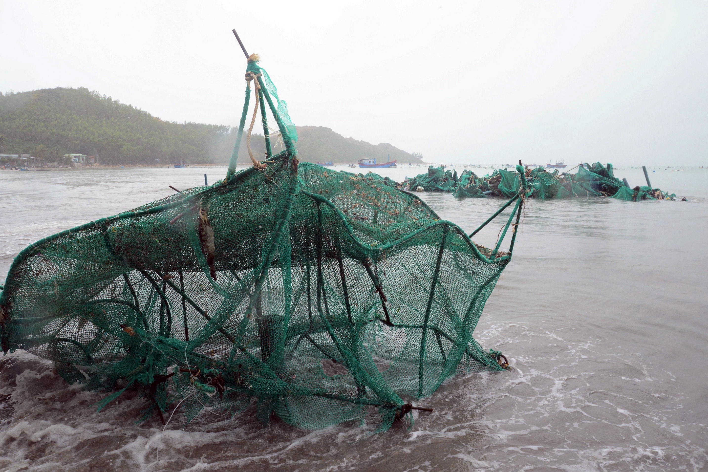 thu phu tom hum trang tay anh 3