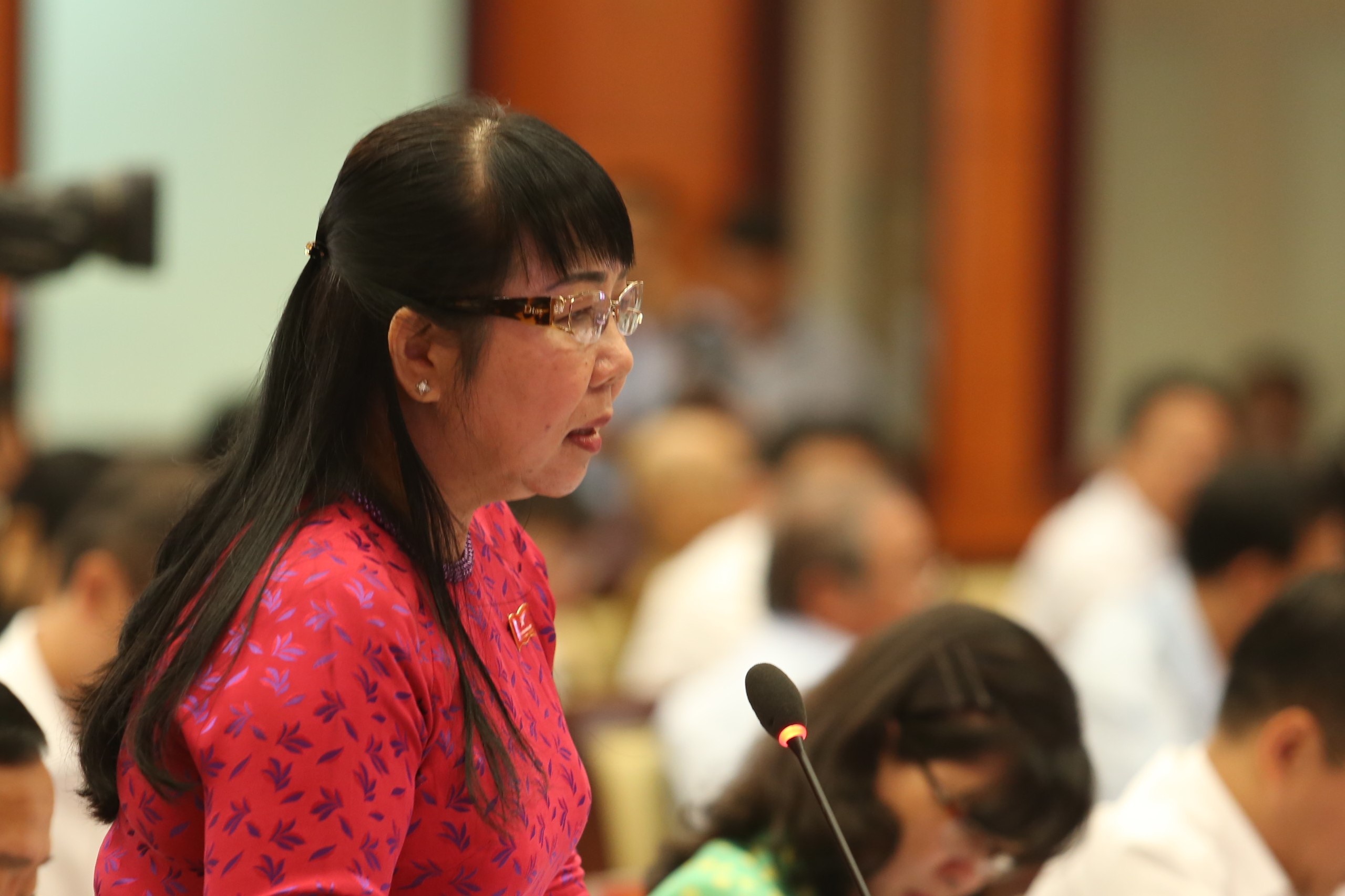 Dai bieu HDND TP.HCM de nghi xu ly video den tren YouTube hinh anh