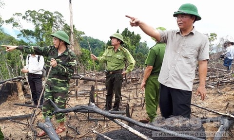 Hai vợ chồng phá rừng ảnh 2 Hai vo chong pha rung anh 2