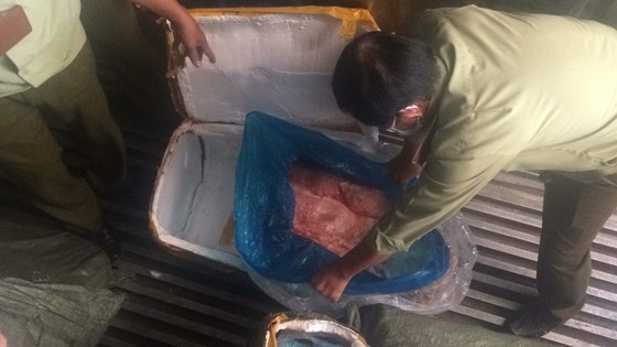 Phat hien 10 tan nam heo thoi sap len ban nhau o Sai Gon hinh anh