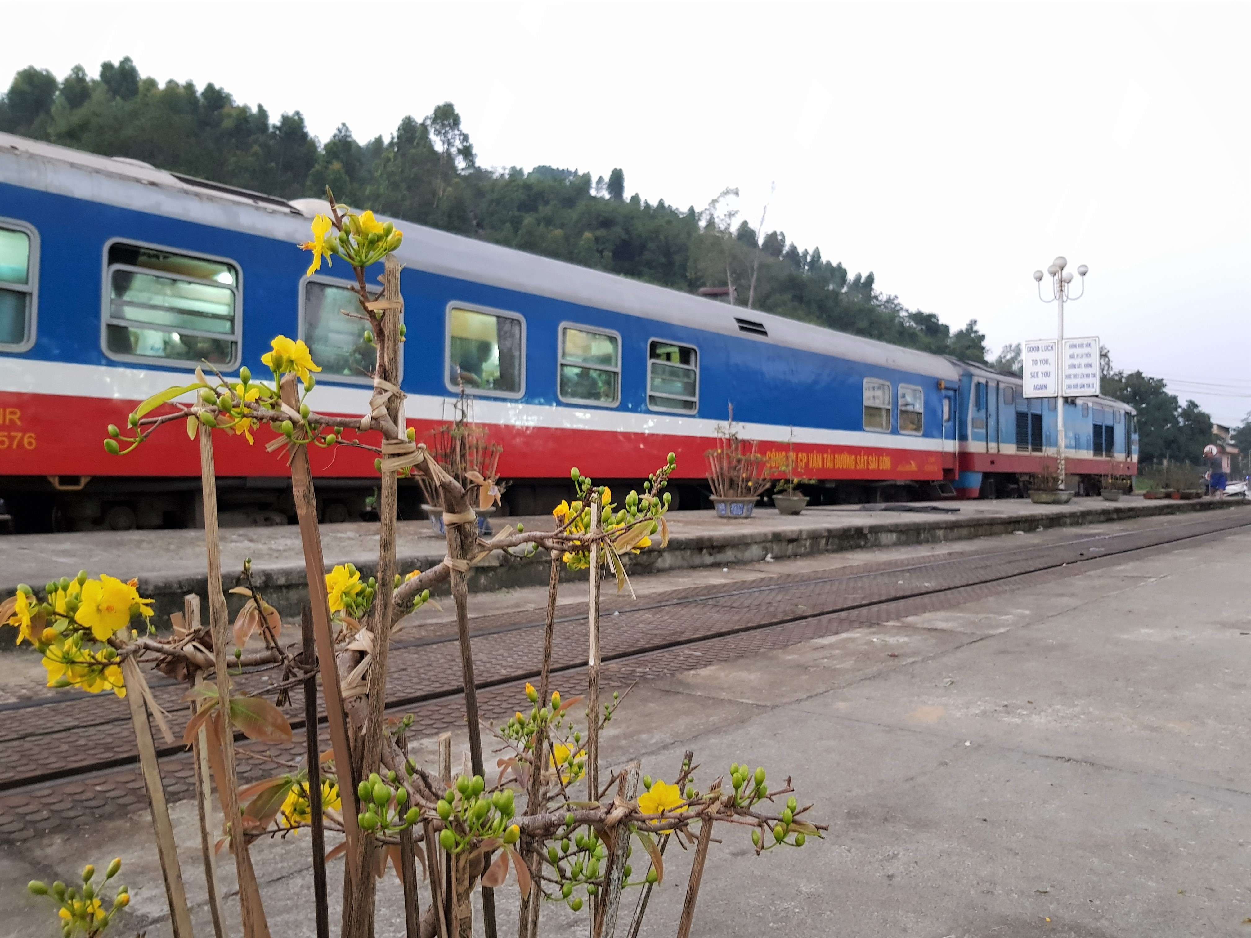 chen chuc tren tau tet anh 18