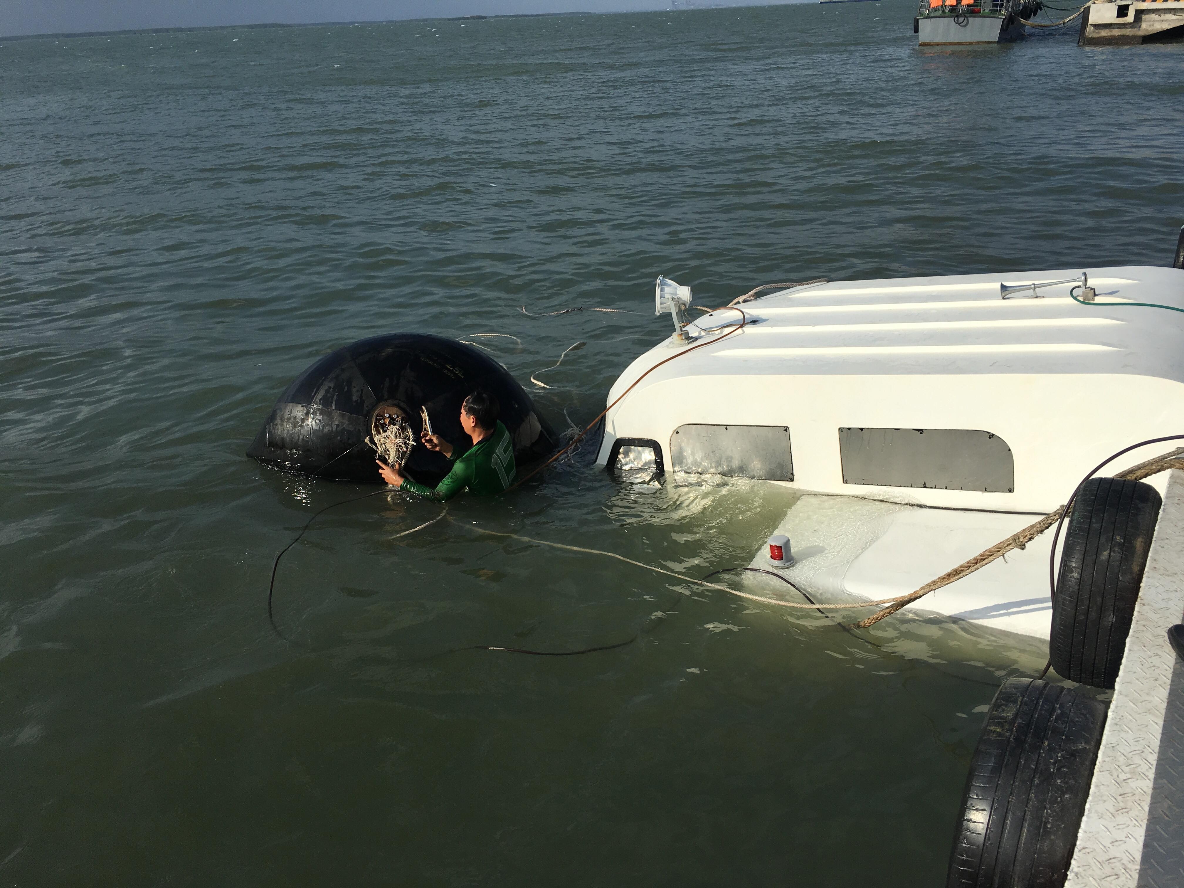 Tau cao toc chim o bien Can Gio do dam 'vat the la'? hinh anh