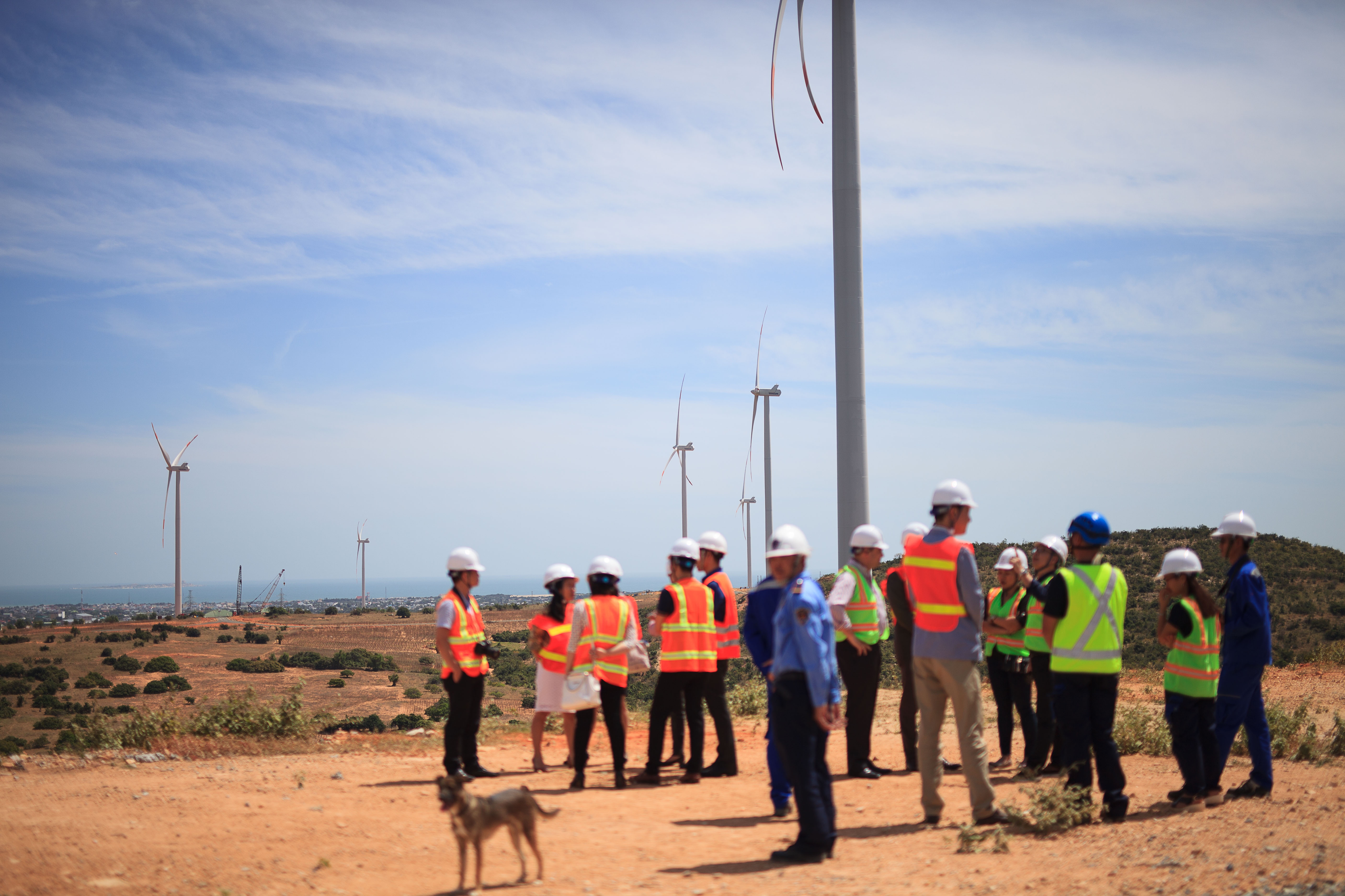 Điện gió ở Bình Thuận ảnh 6 Dien gio o Binh Thuan anh 6