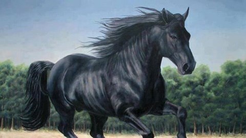 Hinh tuong ngua trong bong da hinh anh