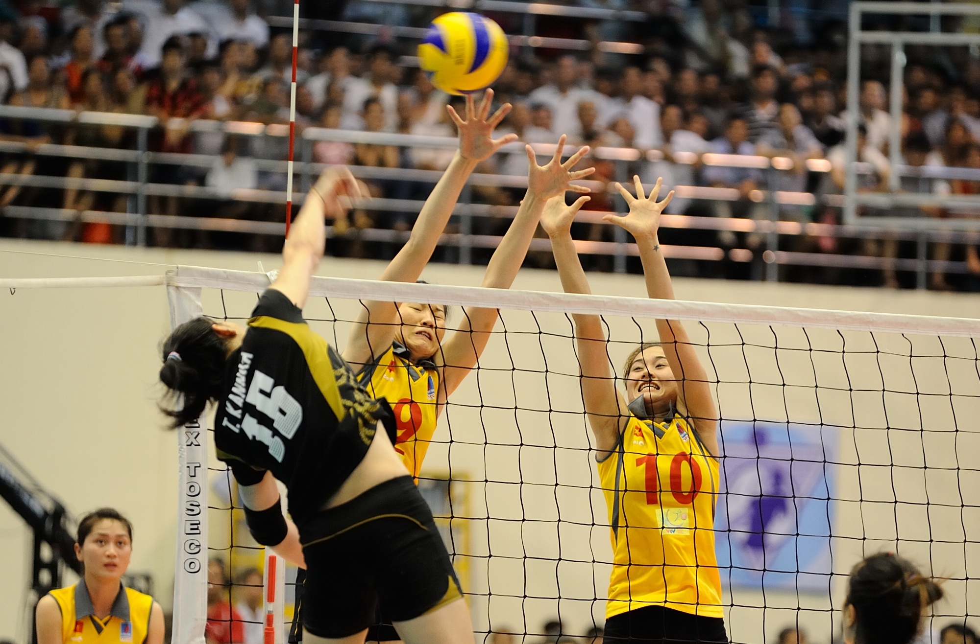 Viet Nam vo dich giai bong chuyen VTV Cup hinh anh