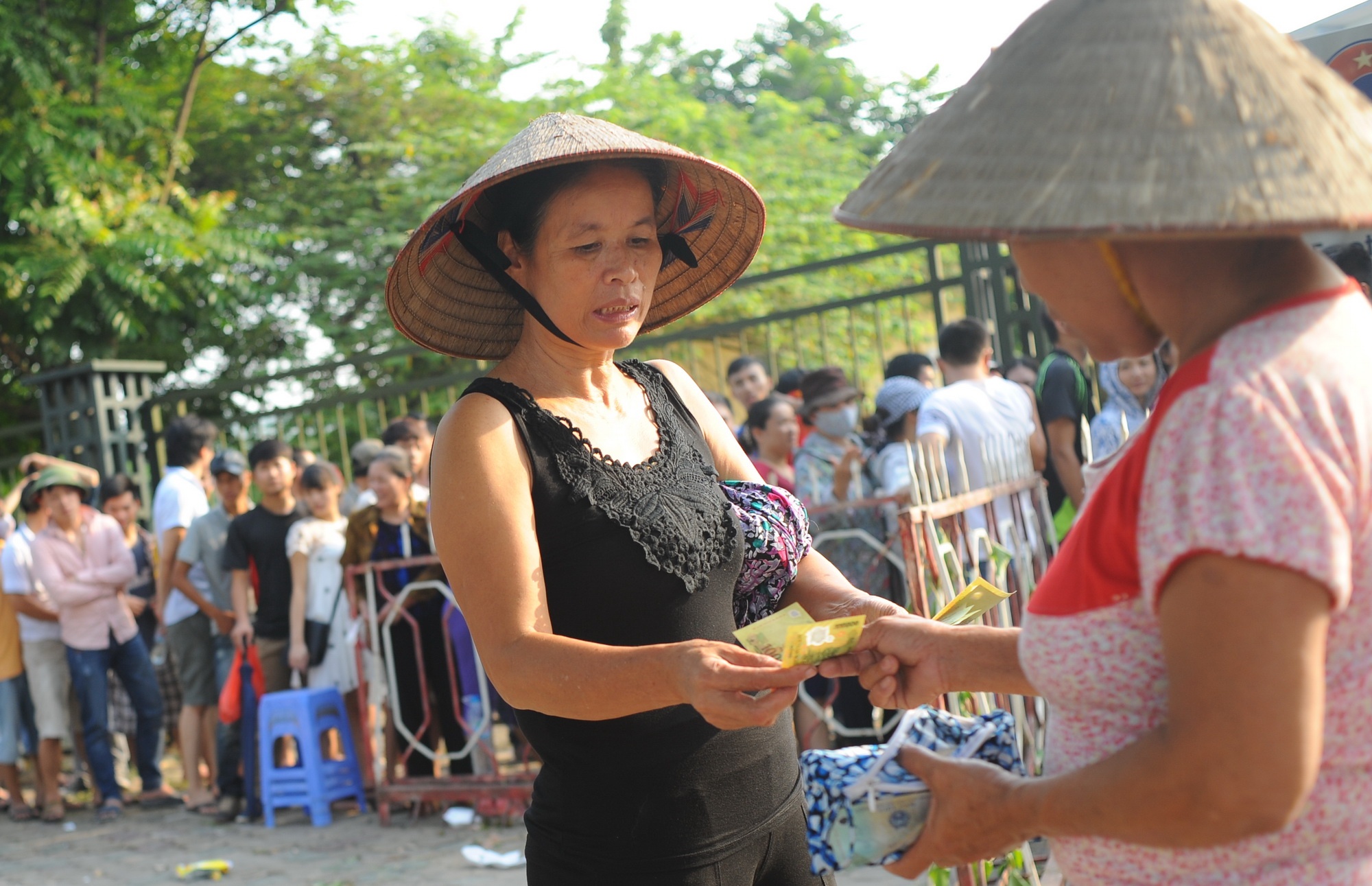 Phe ve het gia cao hinh anh