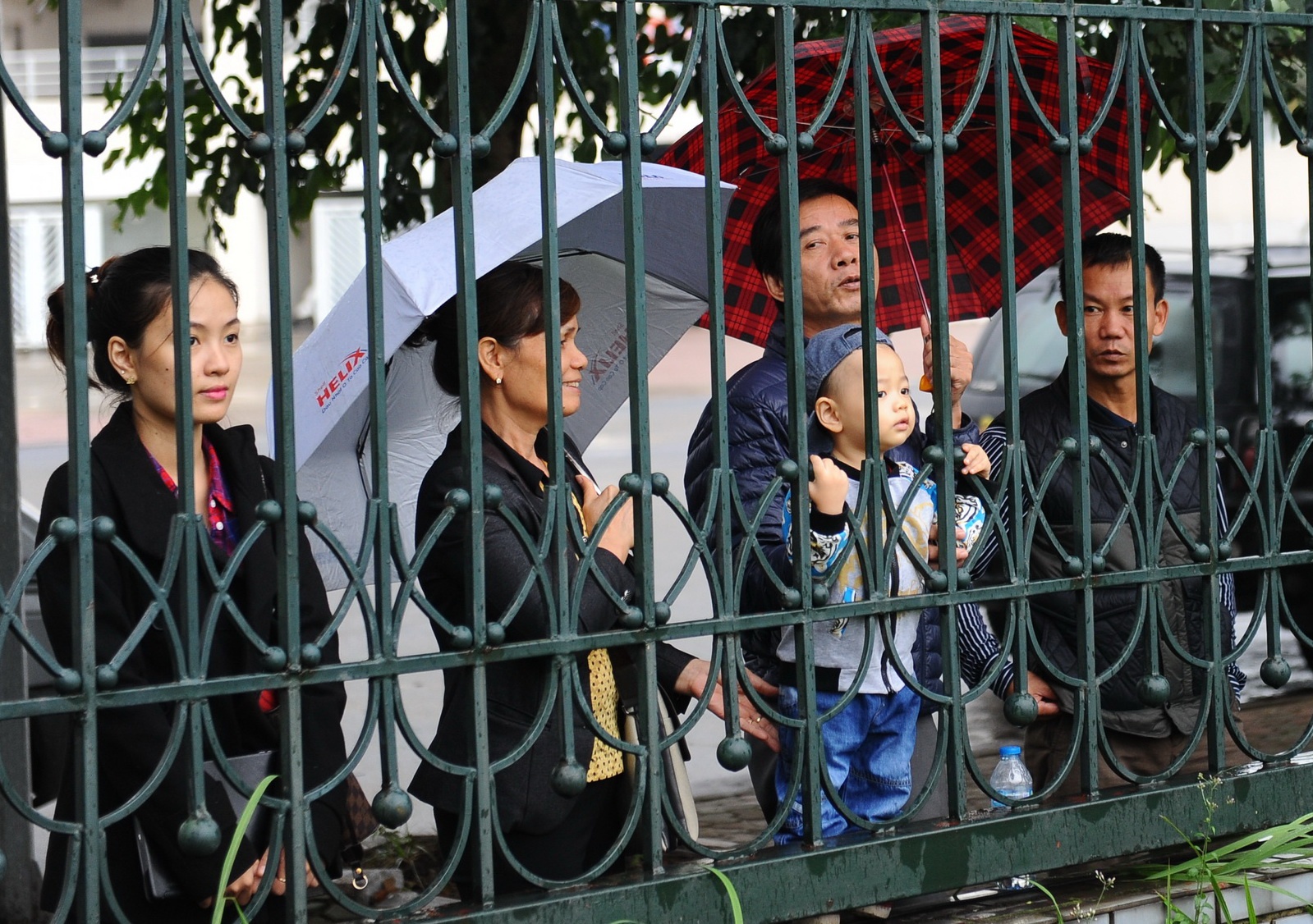 Nguoi ham mo doi gio ret xem DT Viet Nam da doi khang hinh anh