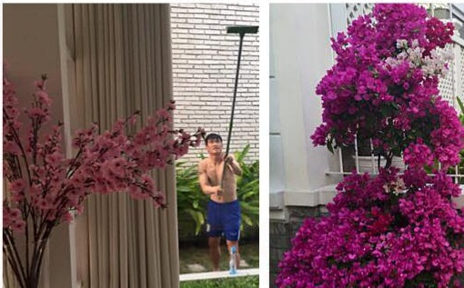 Cong Vinh don dep biet thu trieu do de don Tet hinh anh