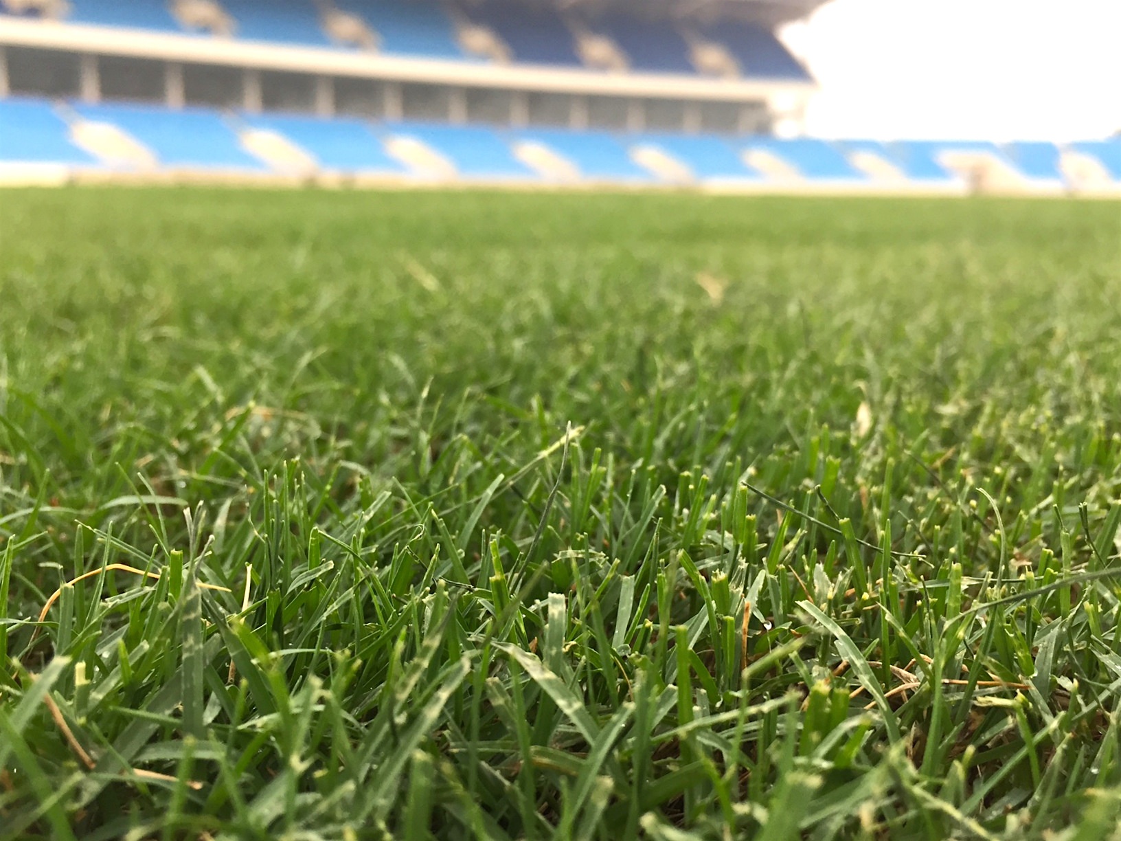 San My Dinh xuong cap anh 11