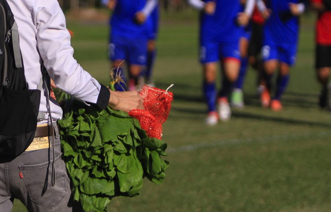 Cong Vinh chi tien mua rau xanh cho tuyen Viet Nam hinh anh