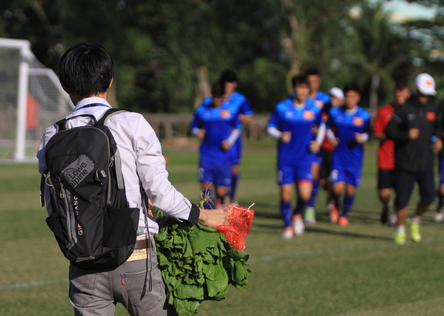 Tuyển Việt Nam mua thêm rau ảnh 1 Tuyen Viet Nam mua them rau anh 1