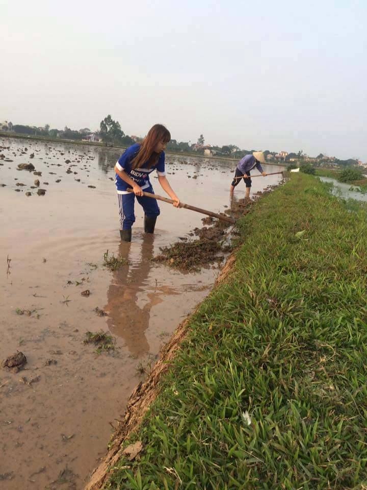 Nu tuyen thu lam ruong dip Tet anh 2