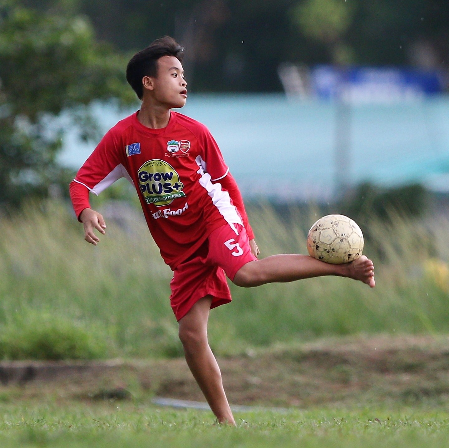 Hoc vien JMG o TP HCM anh 5