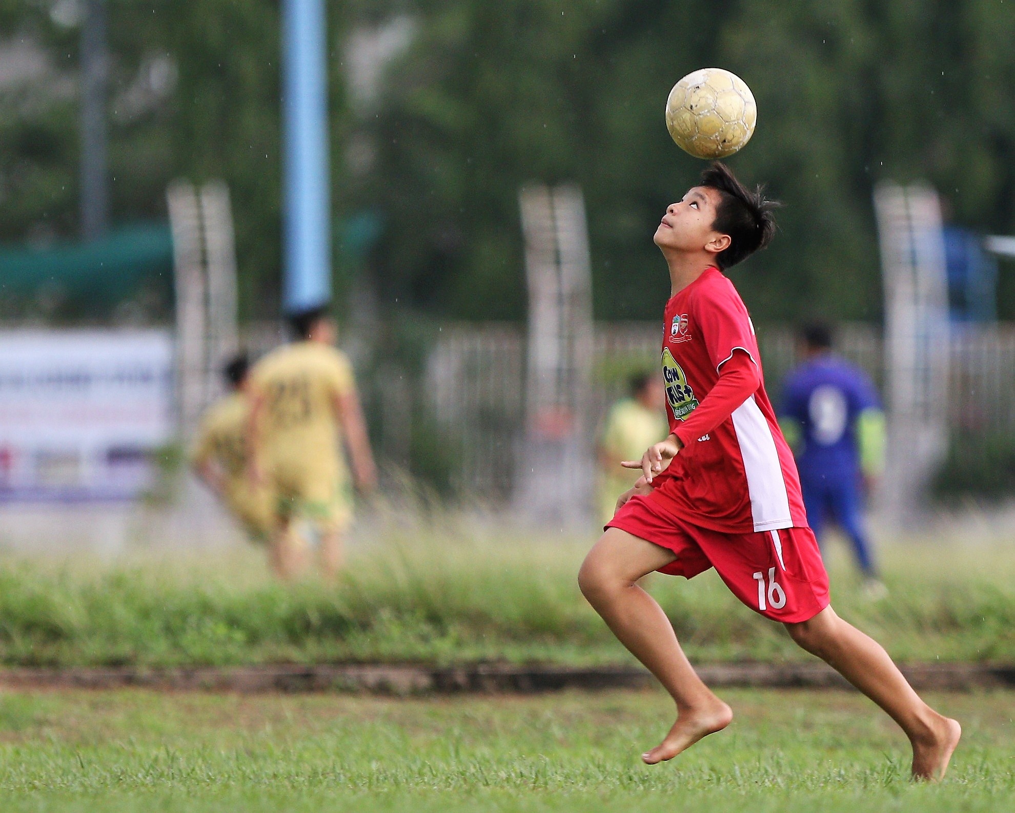 Hoc vien JMG o TP HCM anh 7