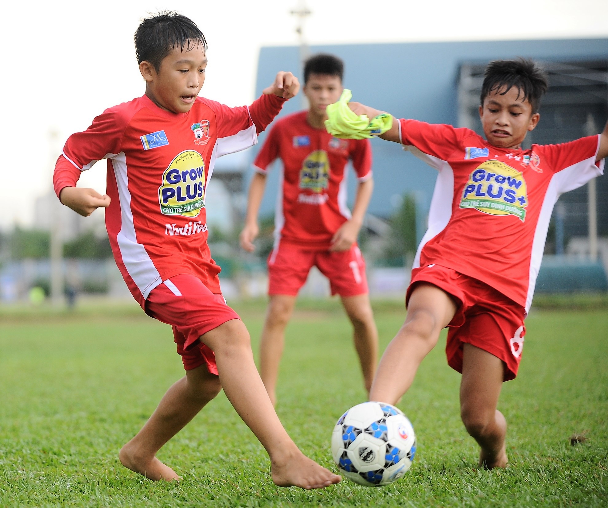 Hoc vien JMG o TP HCM anh 10