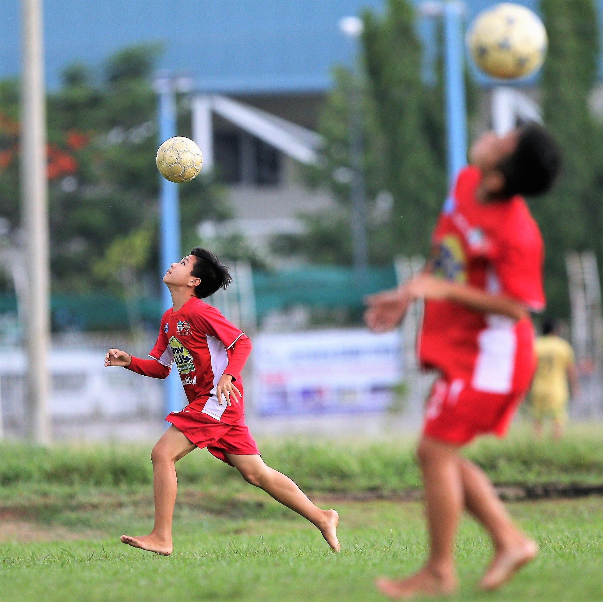 Hoc vien JMG o TP HCM anh 3