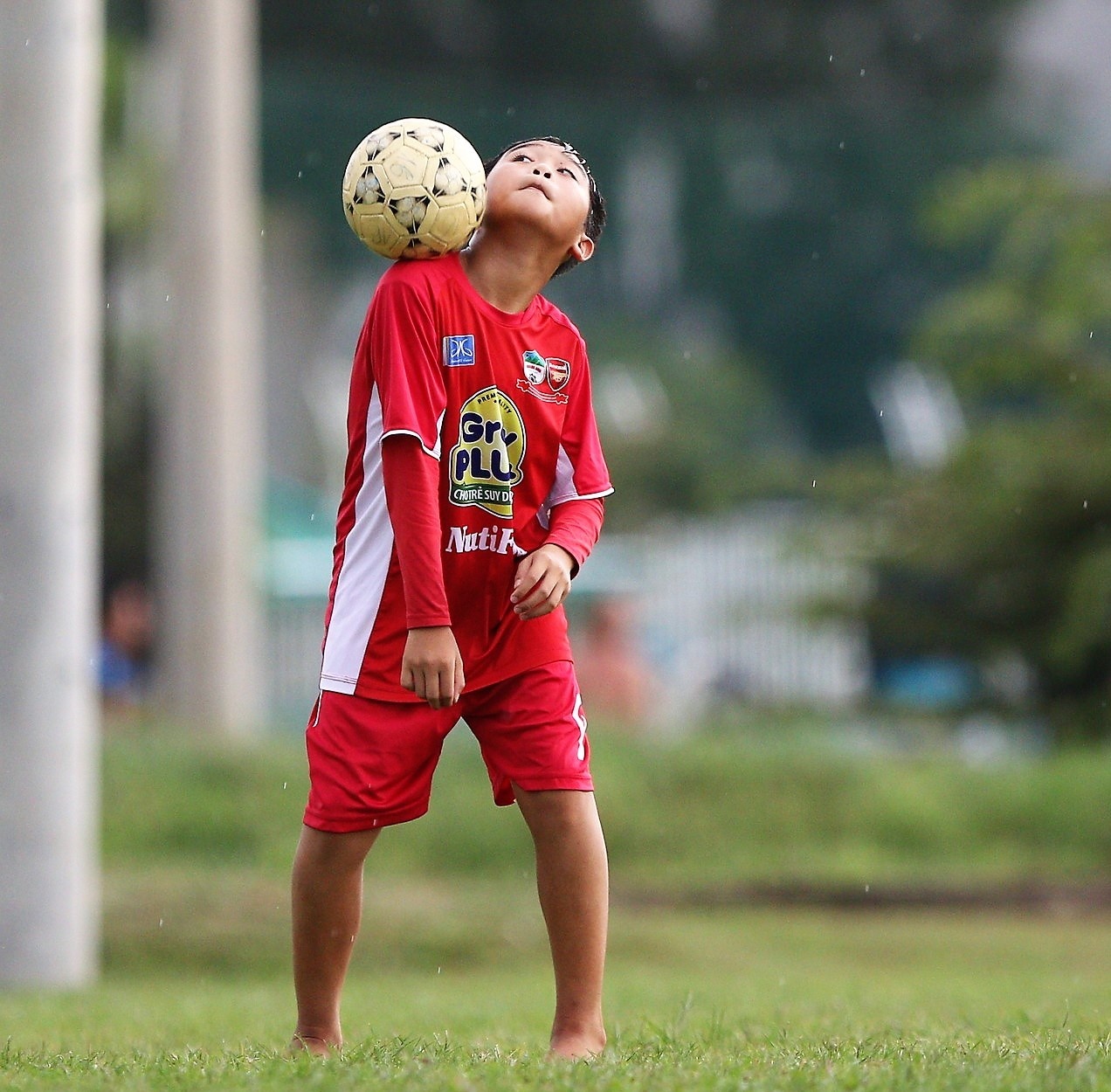 Hoc vien JMG o TP HCM anh 6