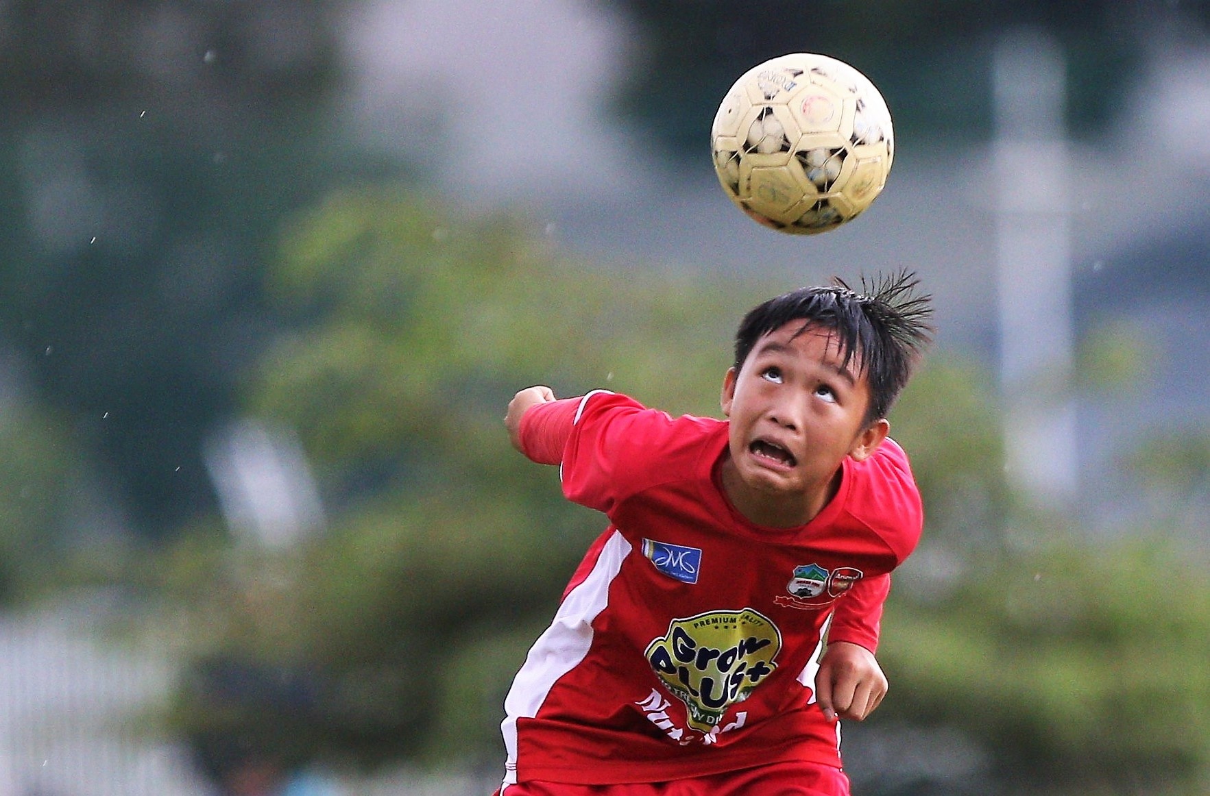 Dong doi cu cua Zidane anh 2