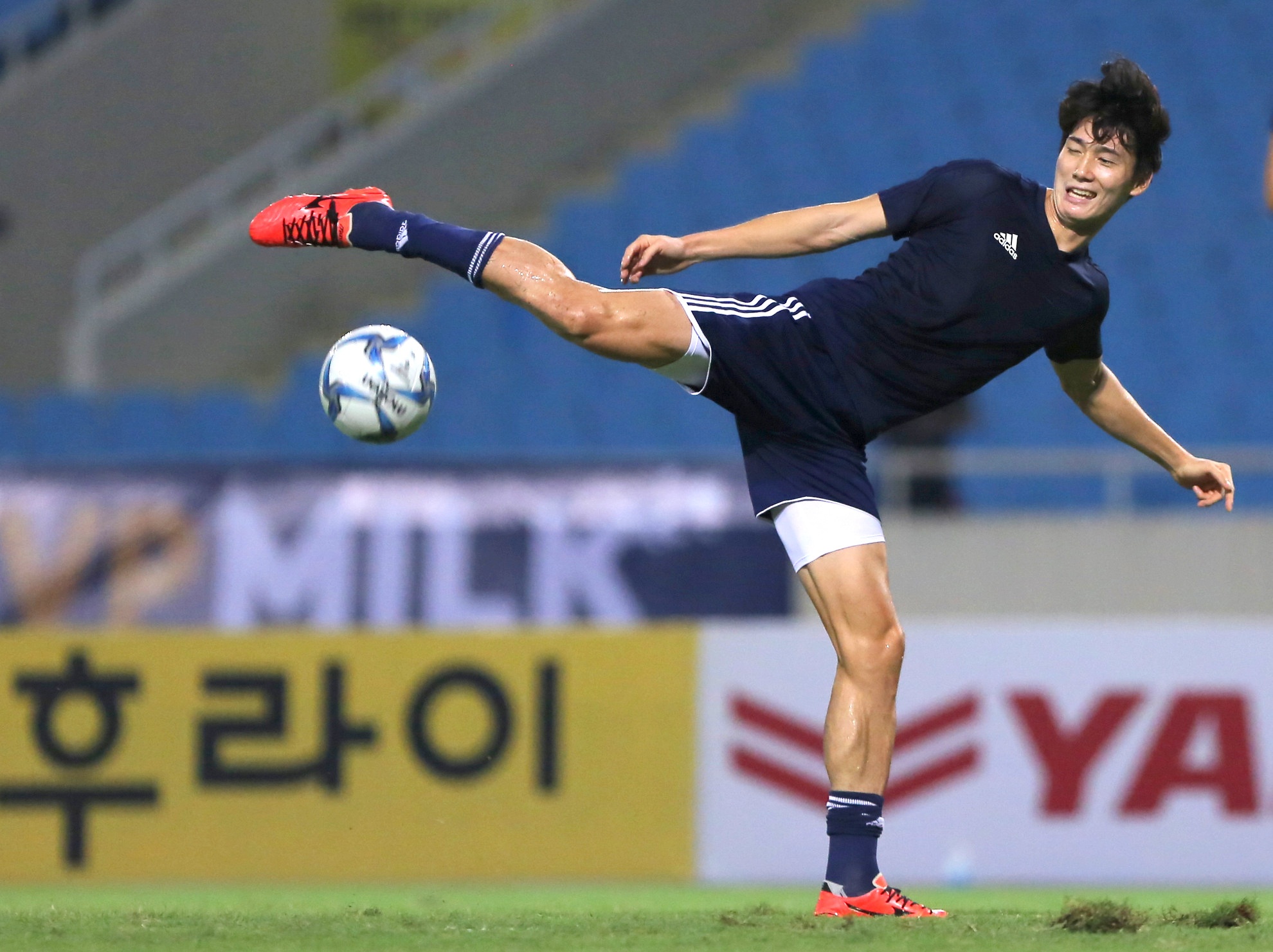 Fan nu tang hoa Van Toan anh 9