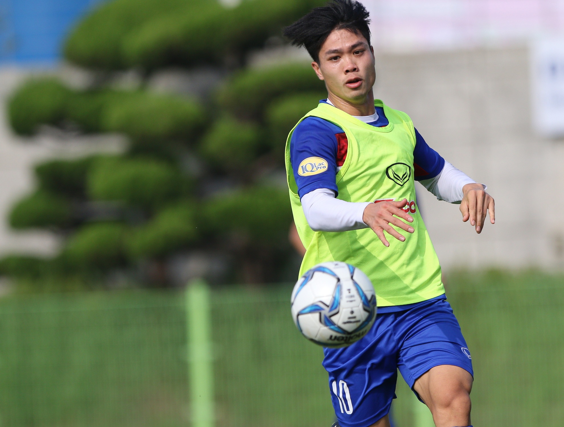 Tuan Anh kem Cong Phuong anh 5