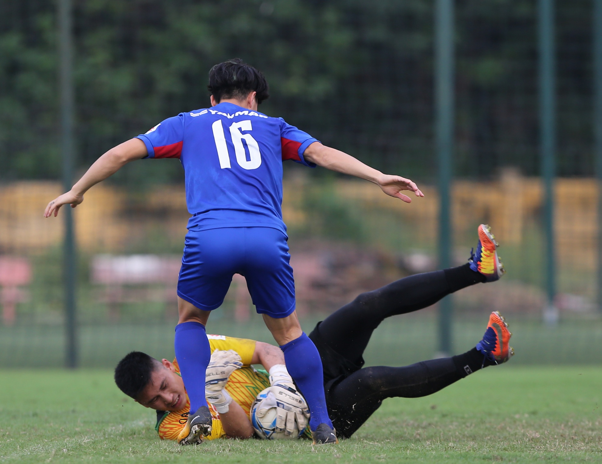 Van Toan tap lam thu mon, anh 8