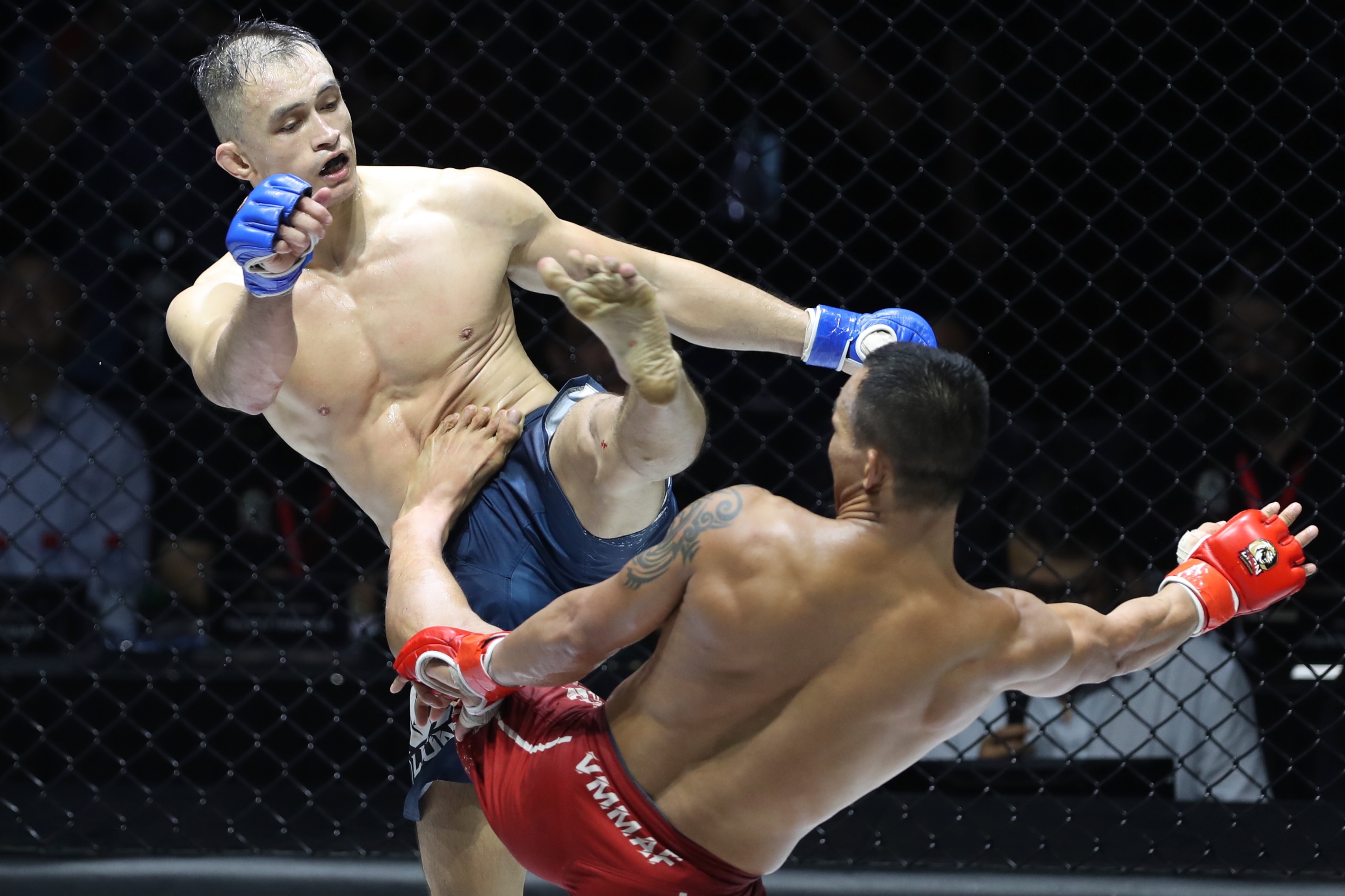 tran quang loc anh 9