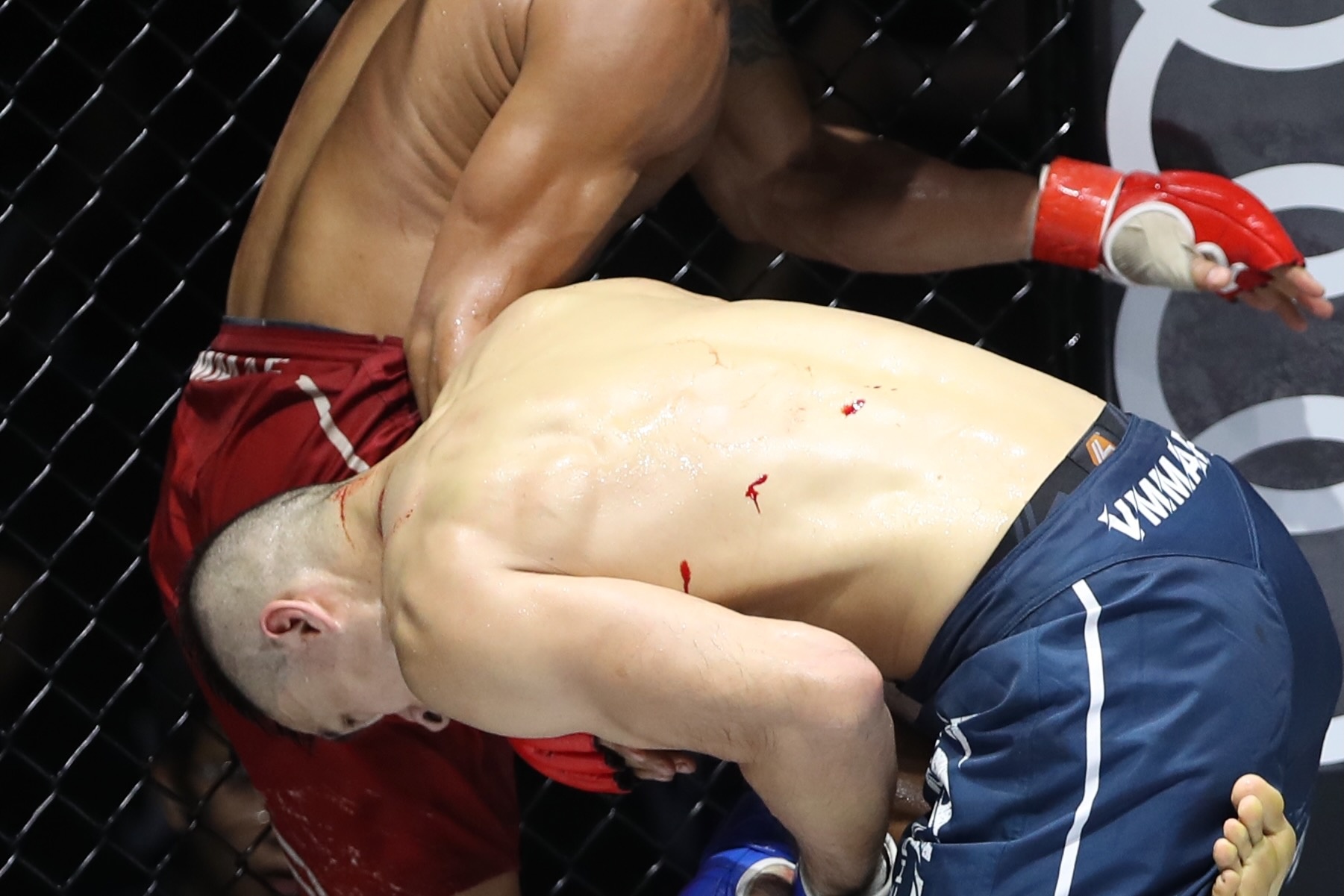 tran quang loc anh 12