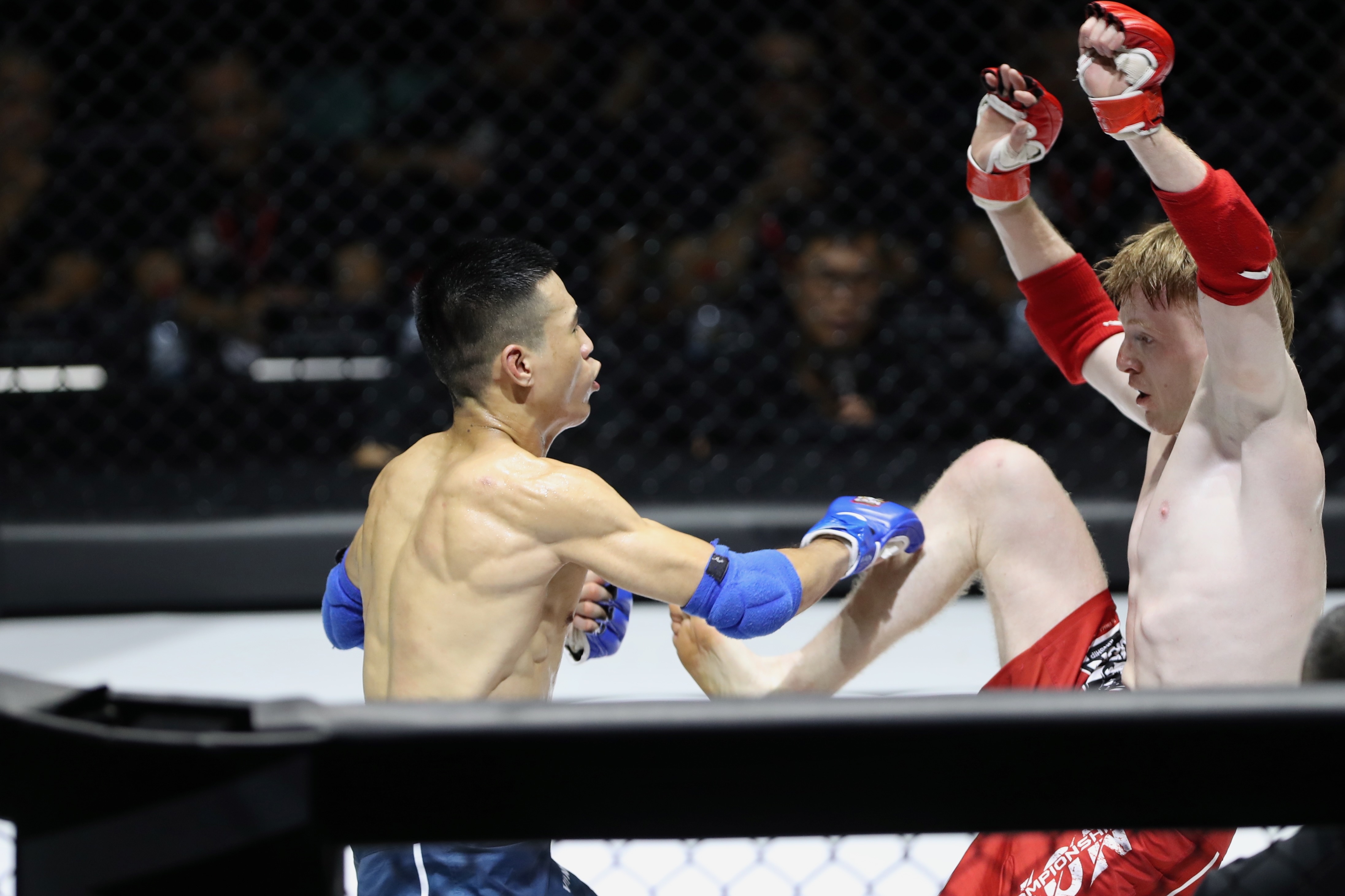 harry john smith anh 9