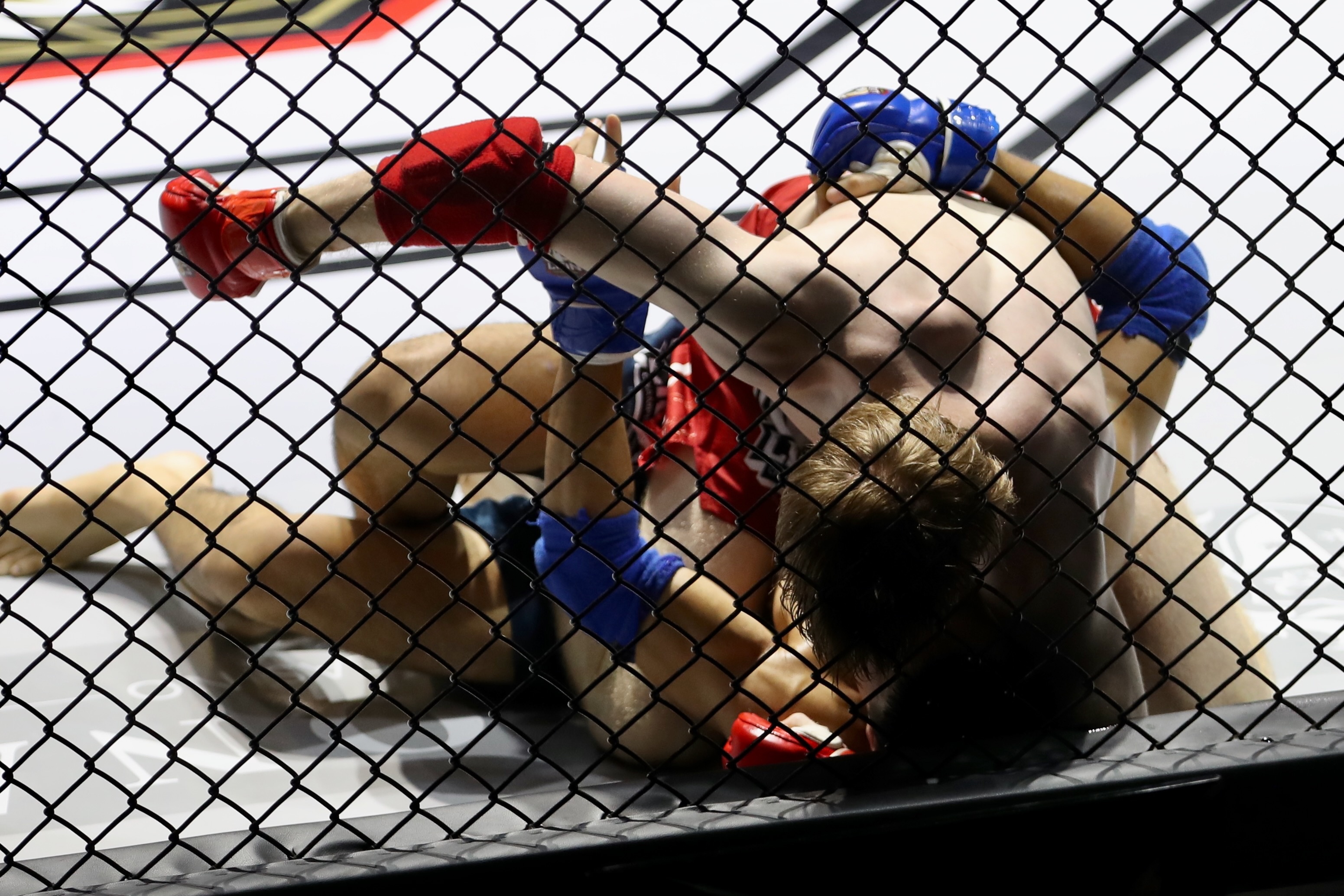 harry john smith ảnh 8 harry john smith anh 8