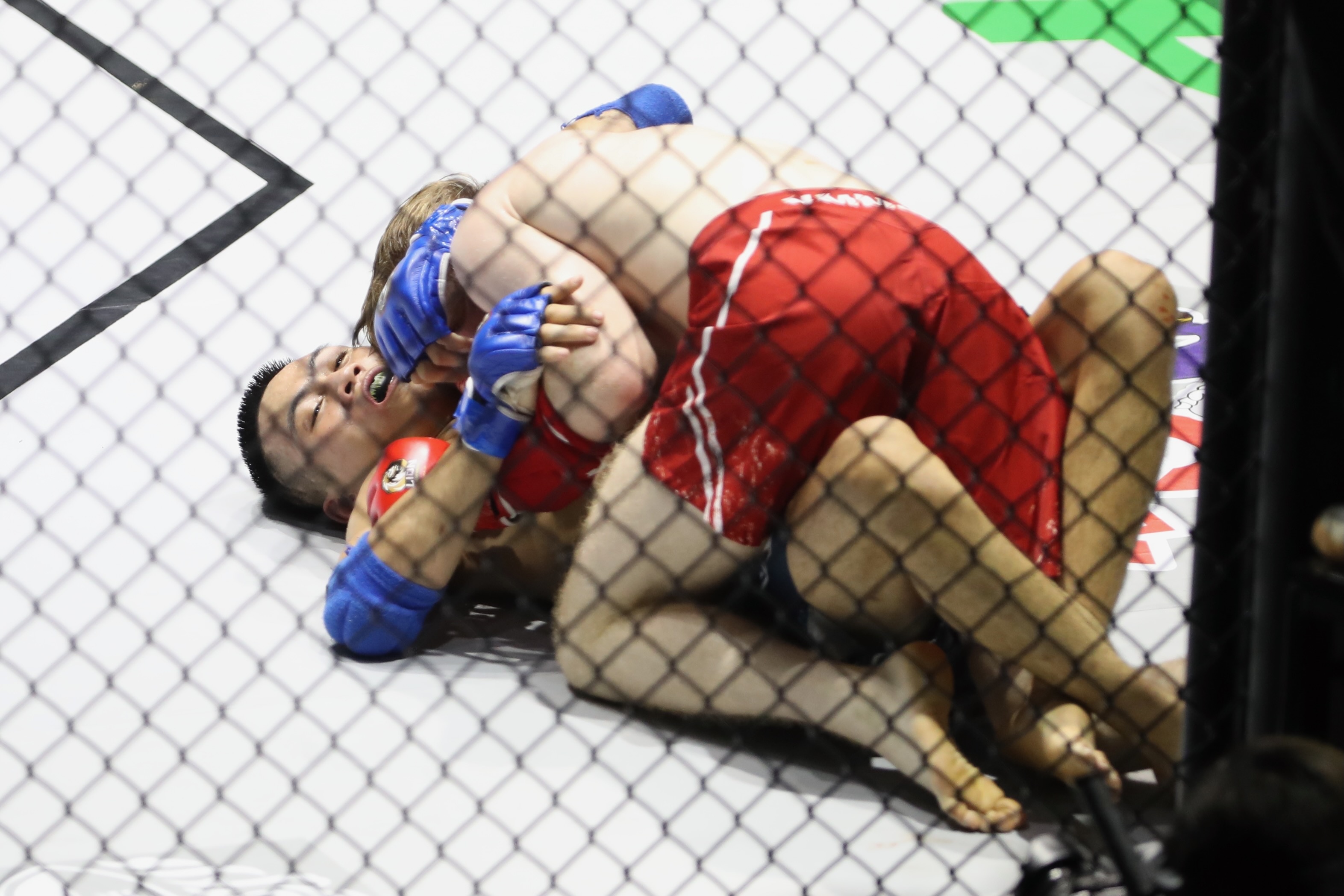 harry john smith ảnh 6 harry john smith anh 6