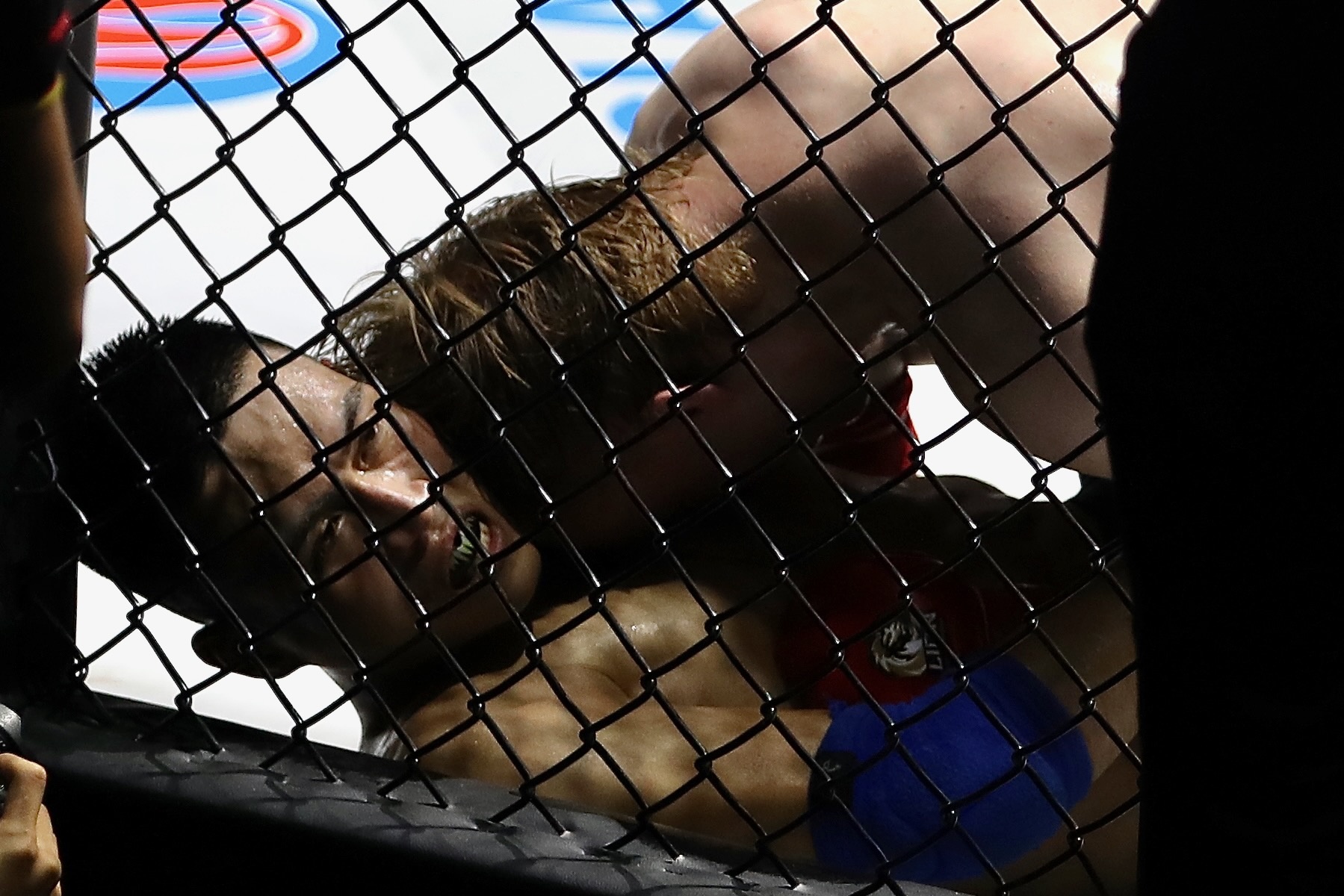 harry john smith ảnh 7 harry john smith anh 7