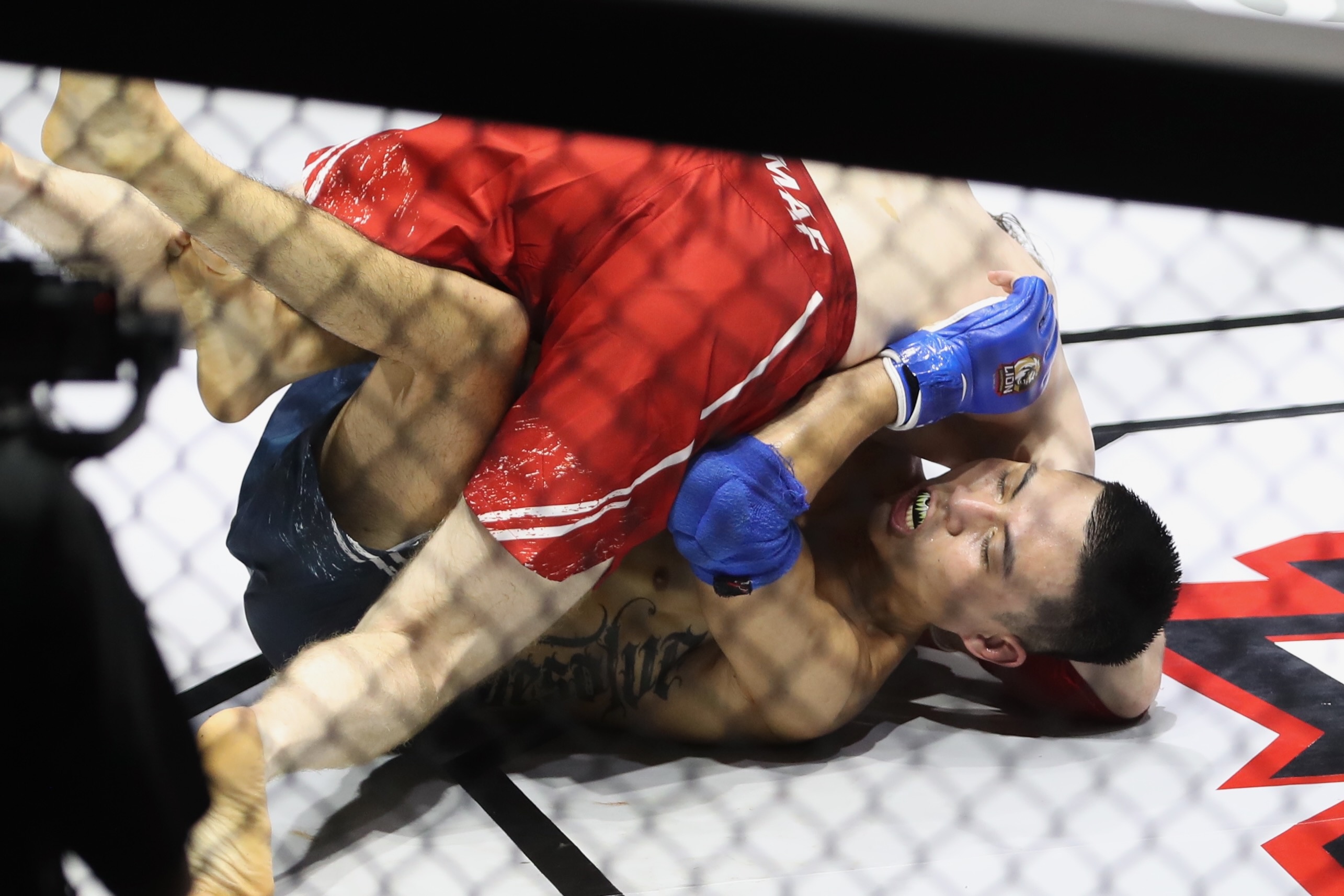 harry john smith ảnh 5 harry john smith anh 5