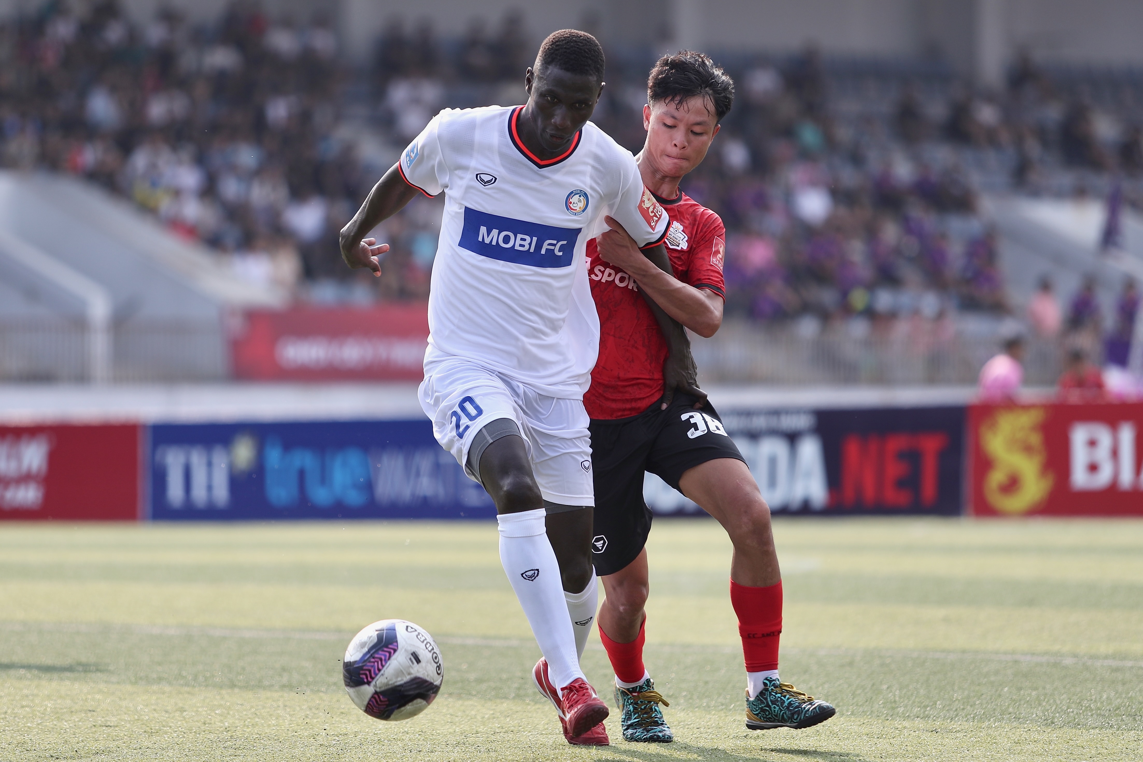 pape omar faye anh 2