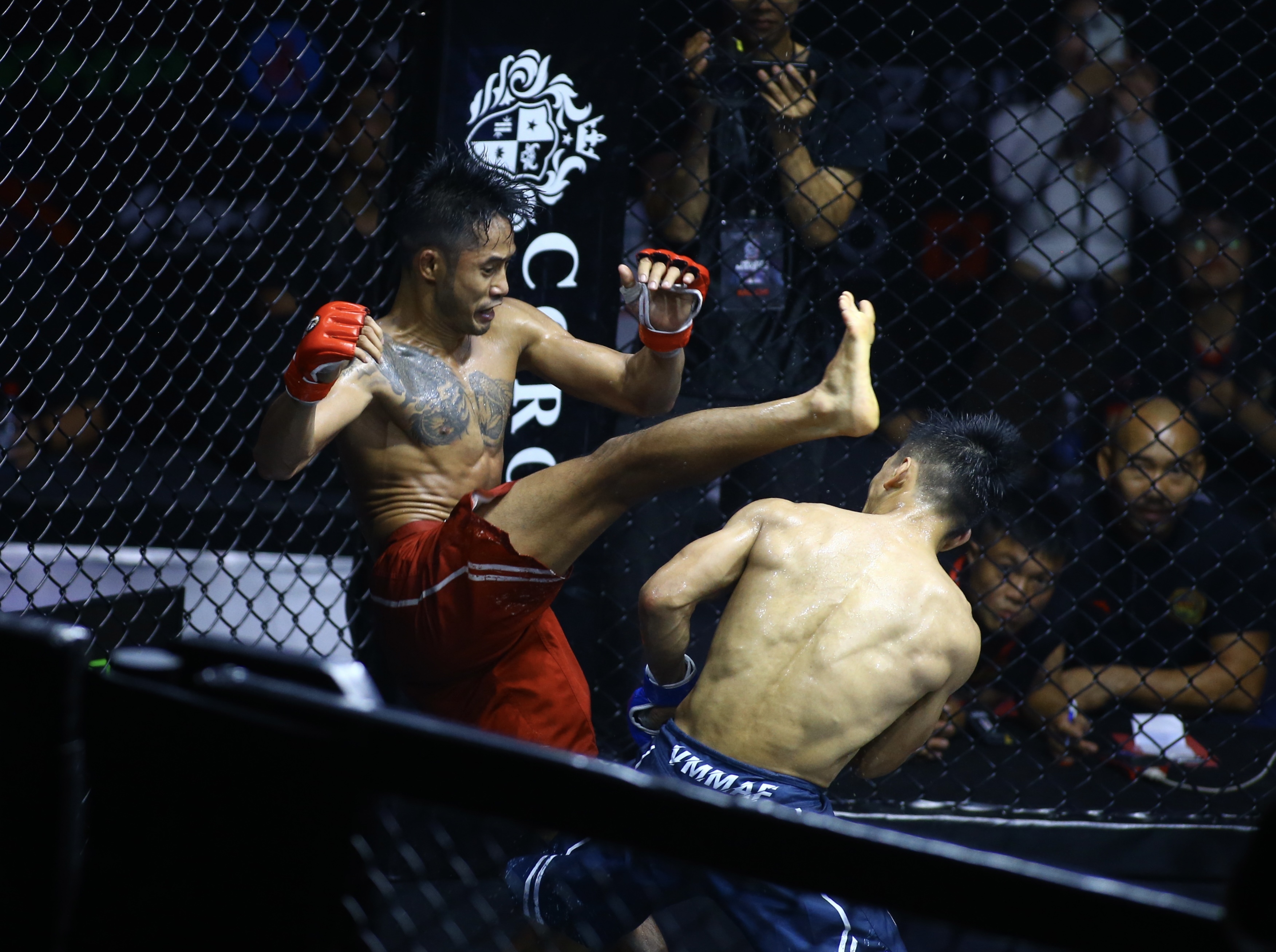 johnny tri nguyen anh 4