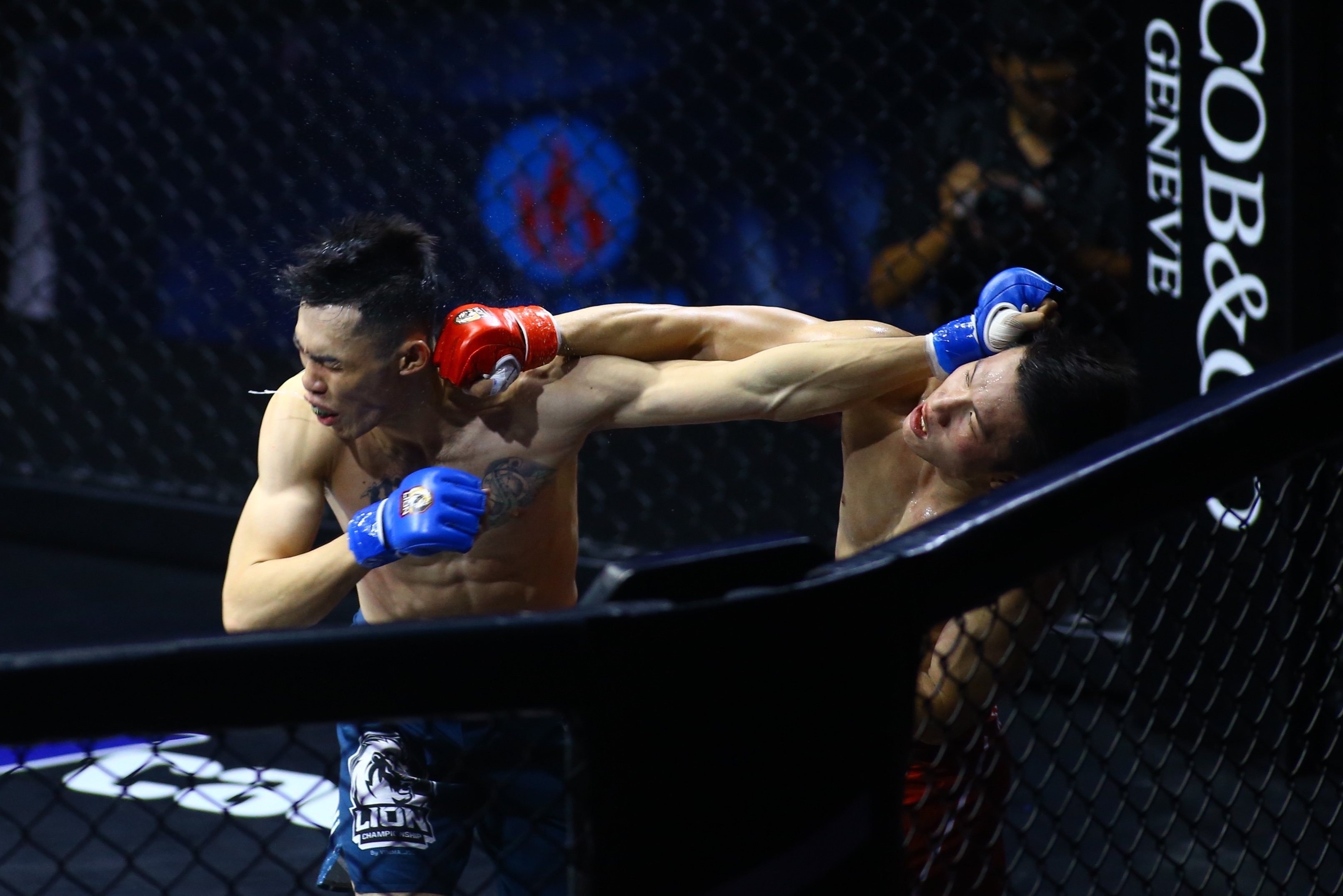 johnny tri nguyen anh 8