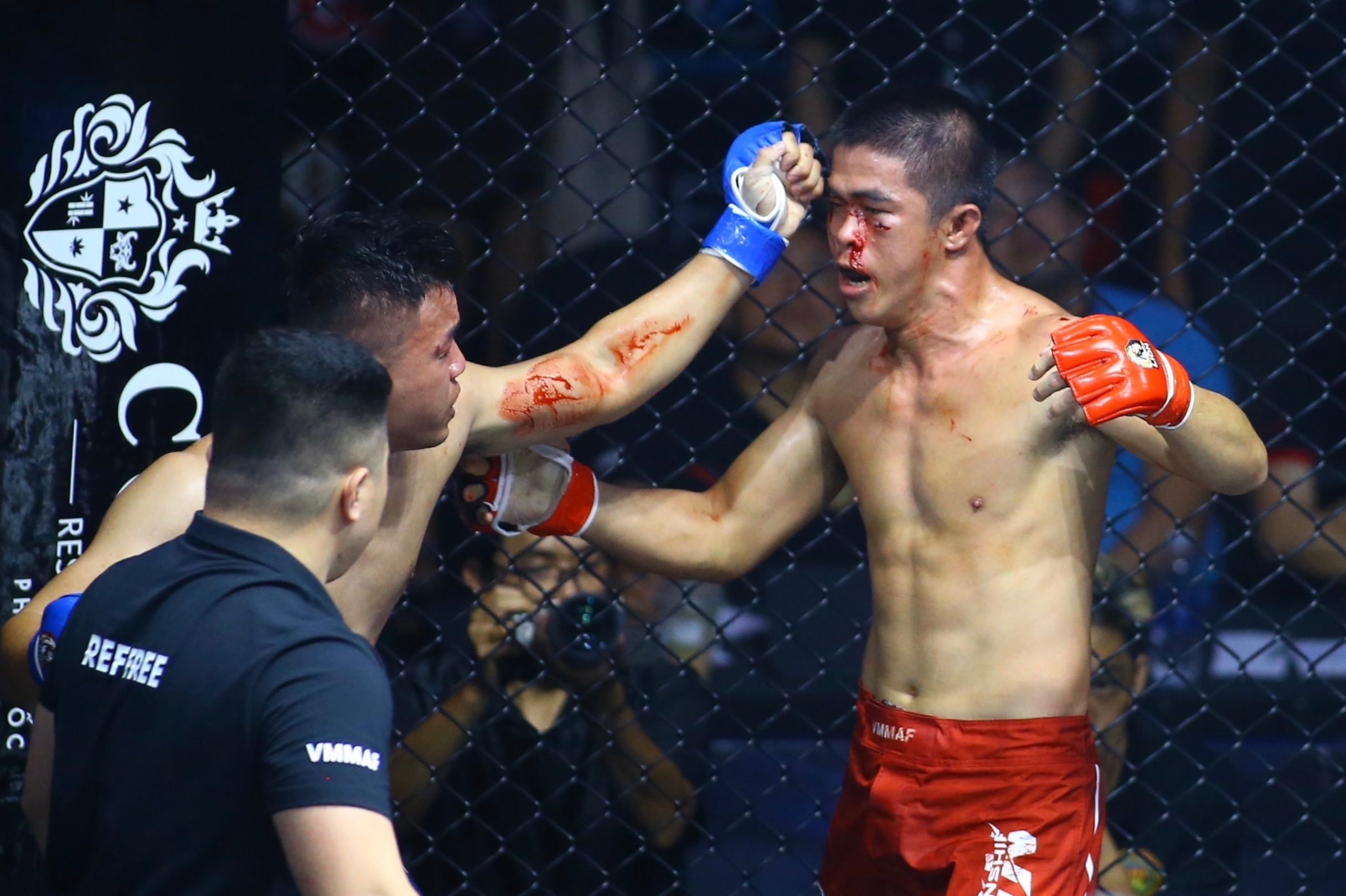 johnny tri nguyen anh 10