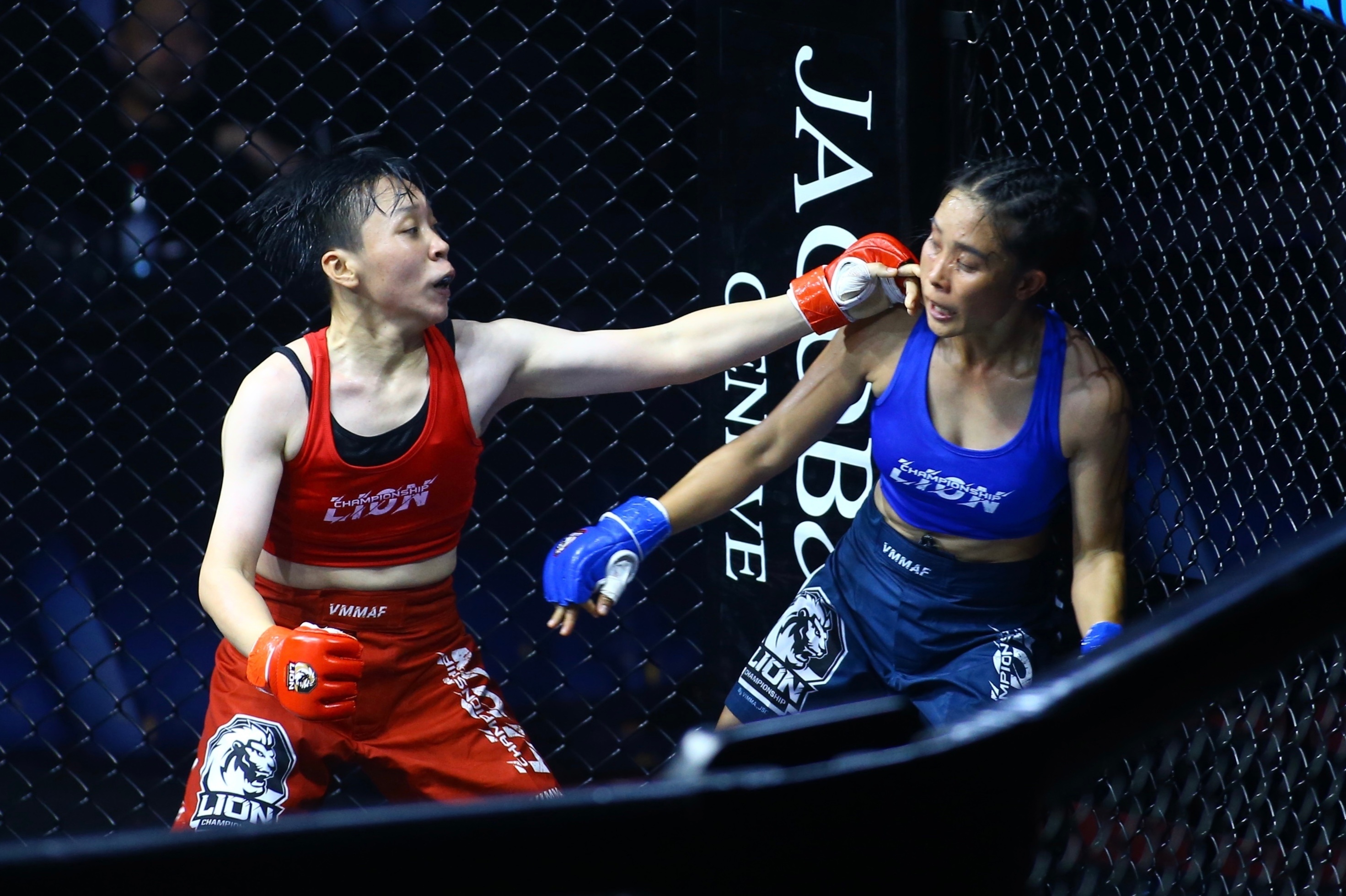 Cac ngoi sao the gioi noi gi khi xem giai MMA Viet Nam? hinh anh