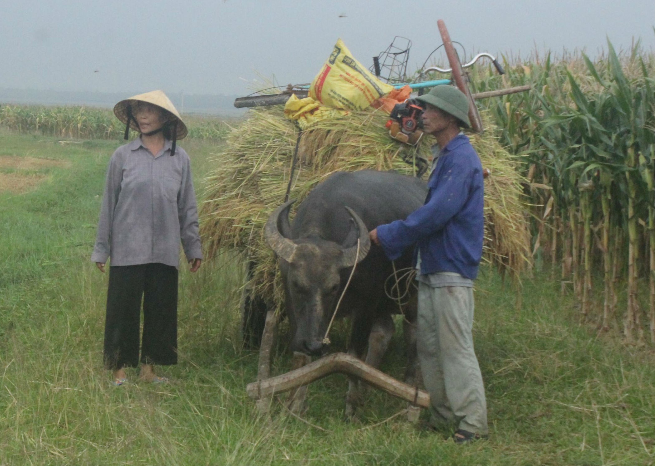 Công việc hàng ngày cực nhọc nhưng ông Bảy, bà Hoa chẳng bao giờ than khổ và luôn động viên Công Phượng nỗ lực hết mình để thành tài.